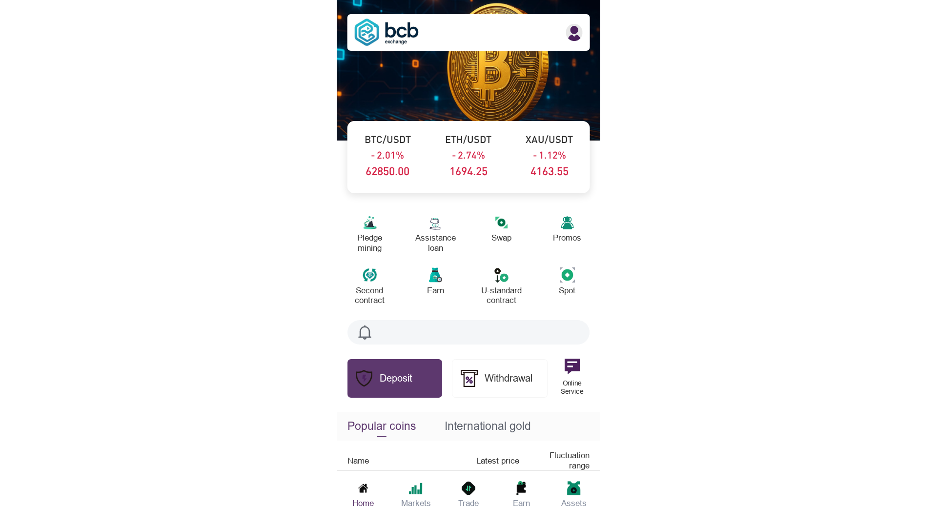 Screenshot of bcb-xau.com