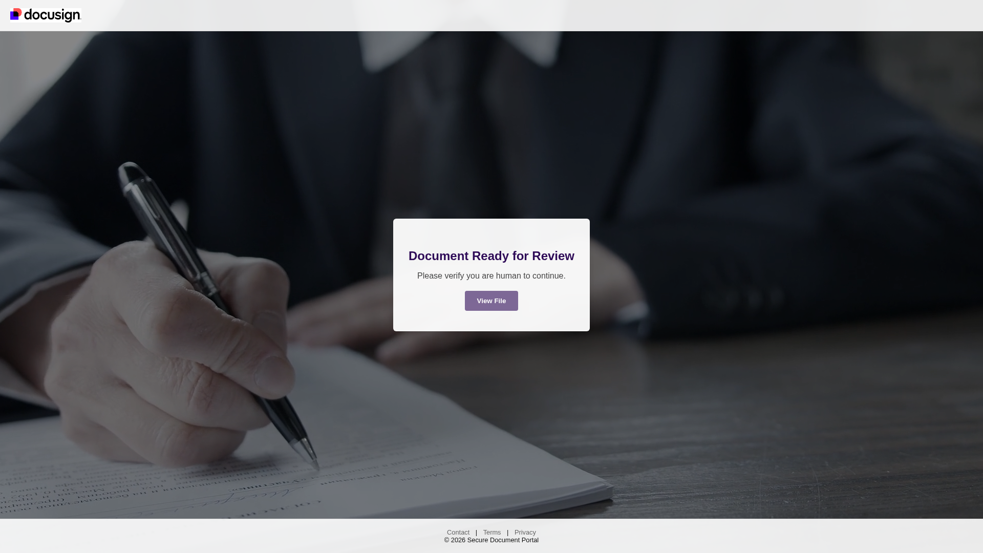 Screenshot of docusign-file.fyi