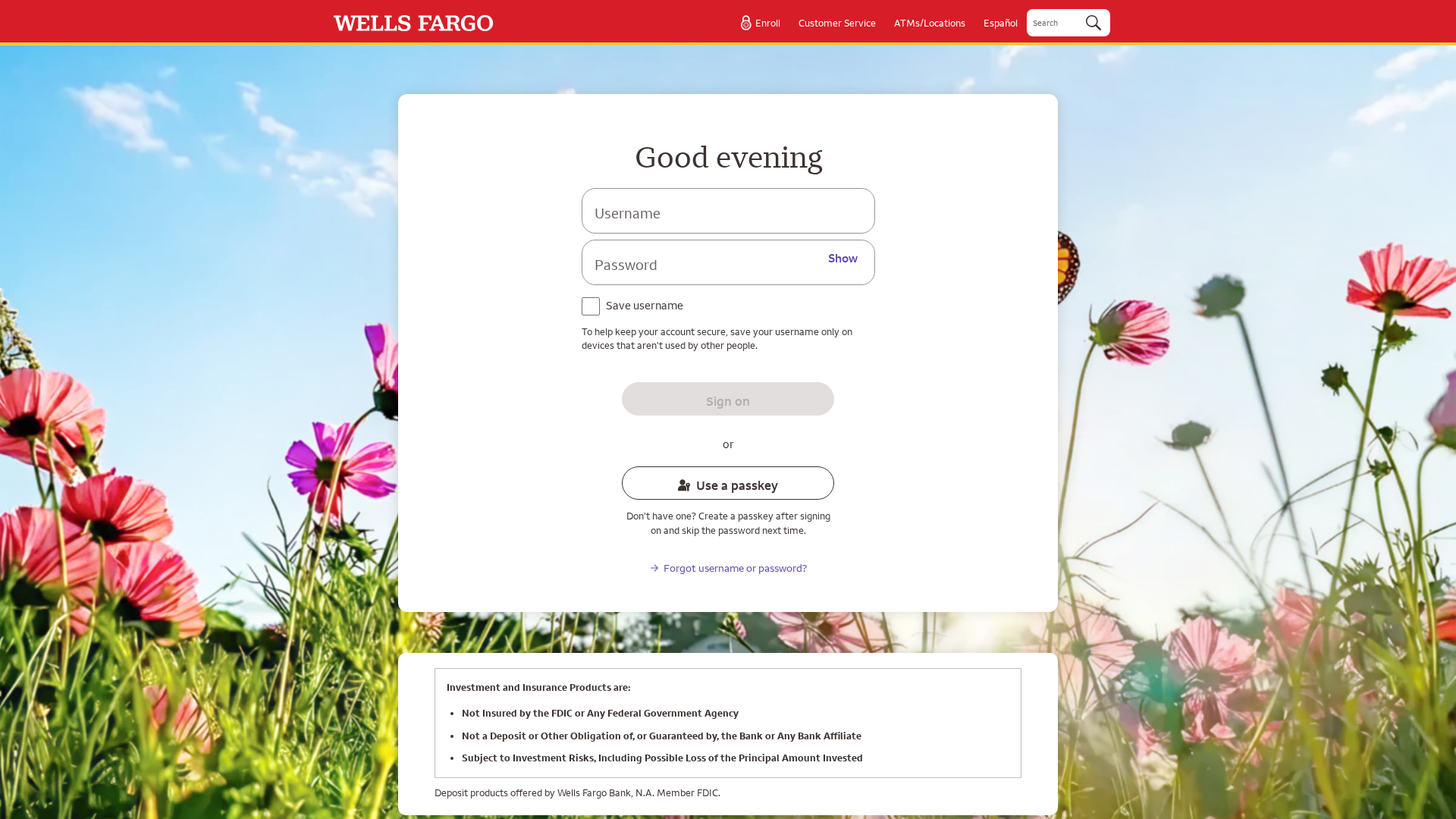 Screenshot of devsanmaden.com