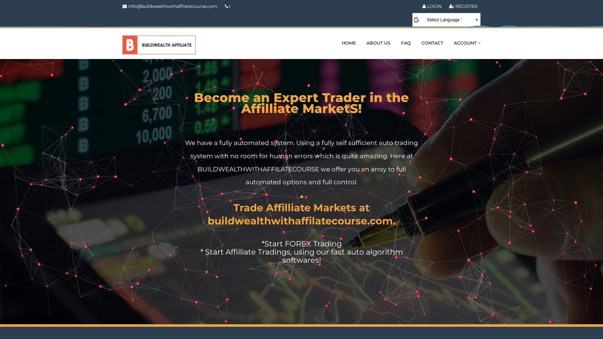 Screenshot of buildwealthwithaffilatecourse.com