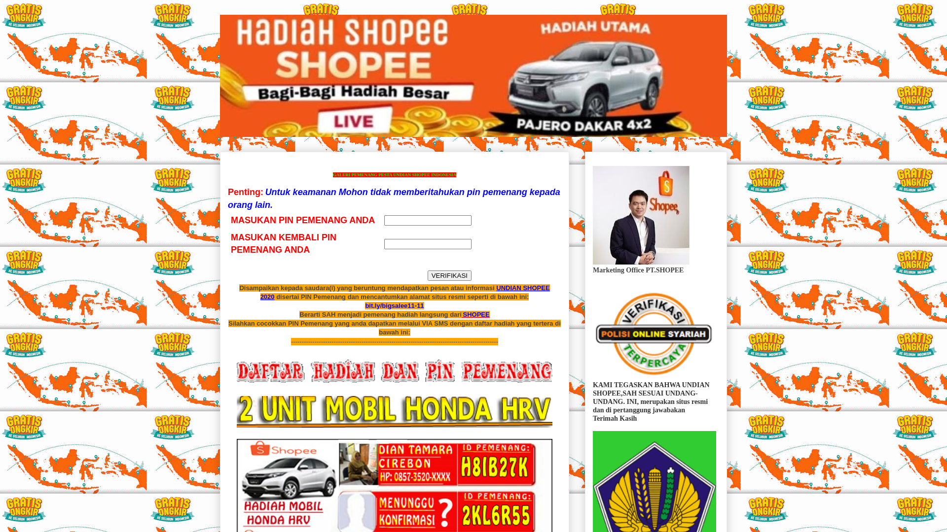 Screenshot of www.bigsalee11-11.blogspot.com