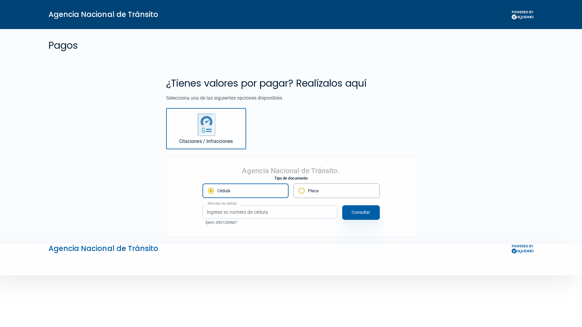 Screenshot of facturasant.com