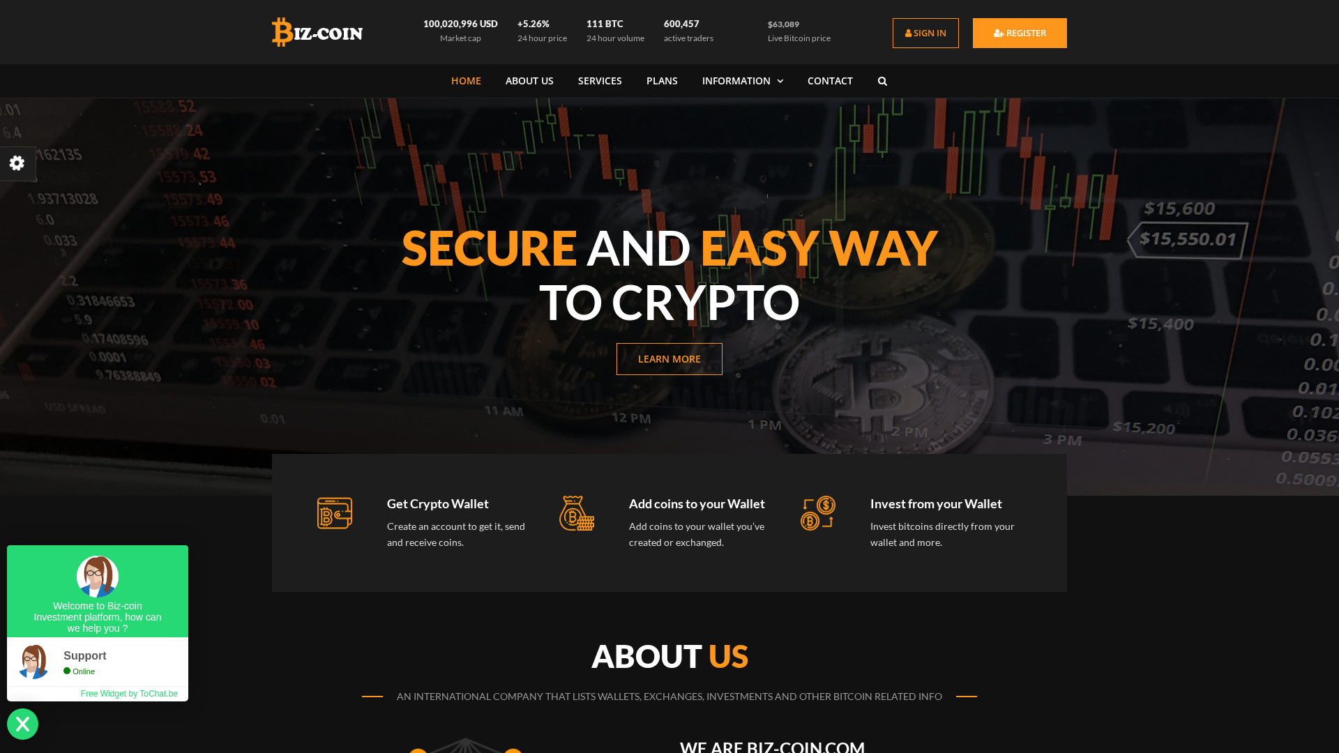 Screenshot of biz-coin.com