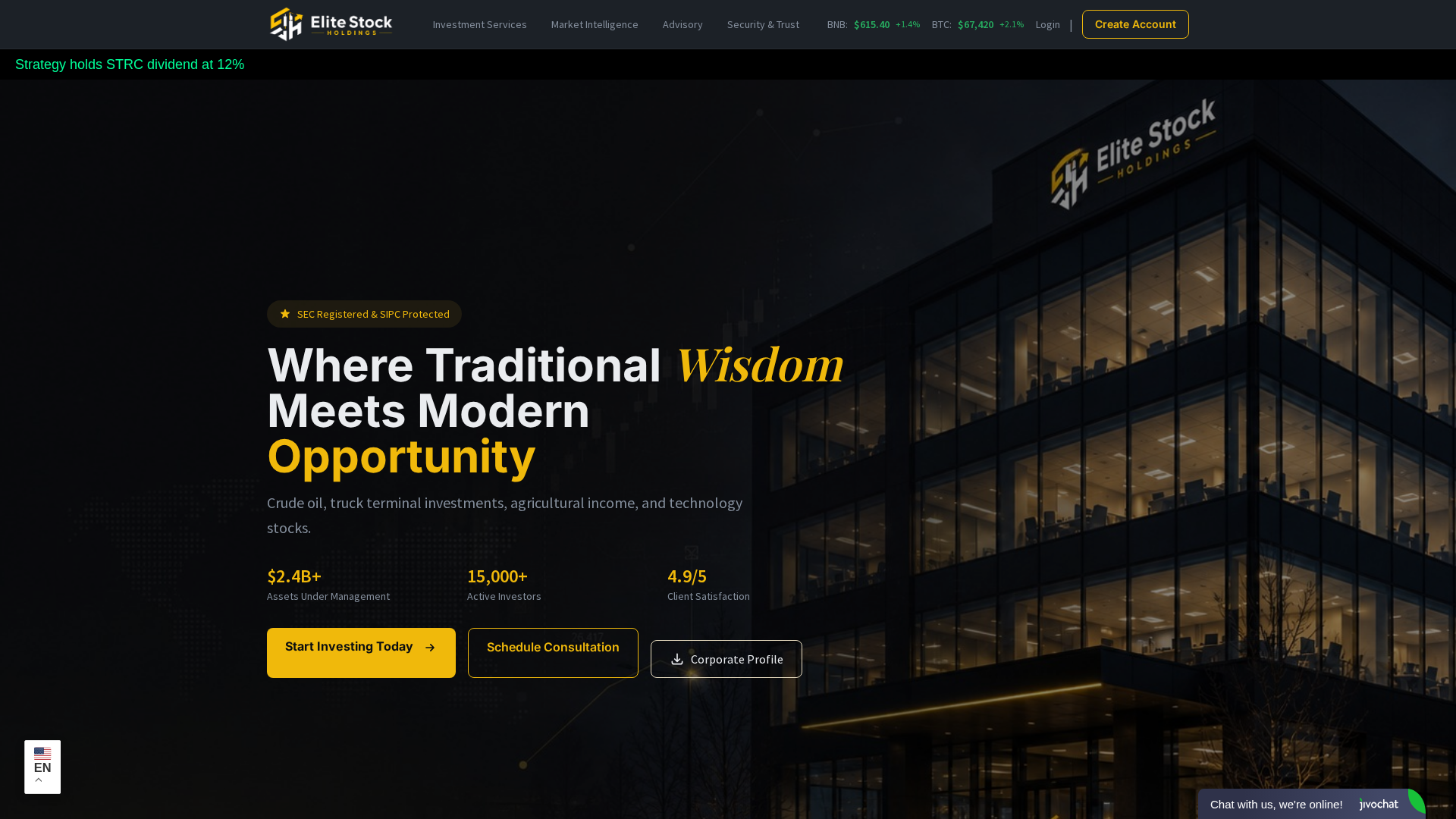 Screenshot of elitestockholdings.com