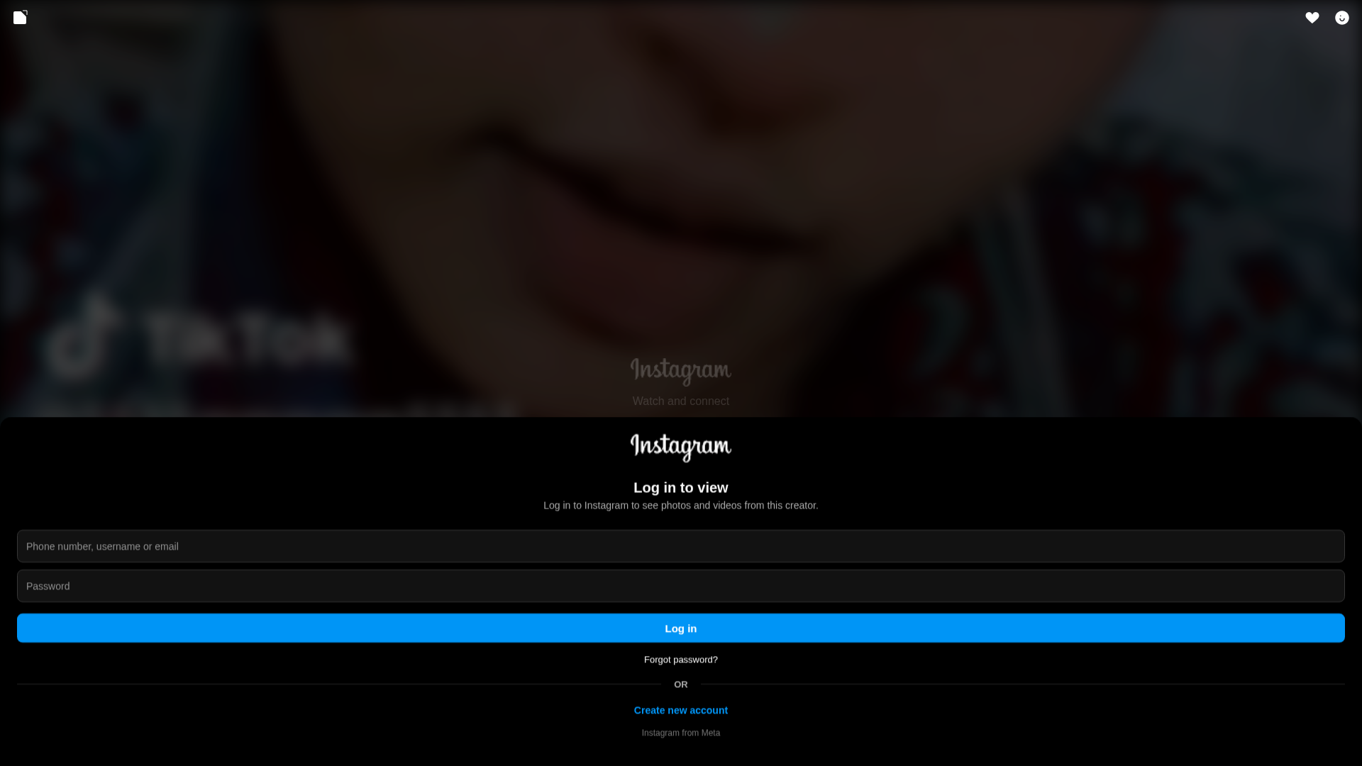 Screenshot of instagram.sitaci.com