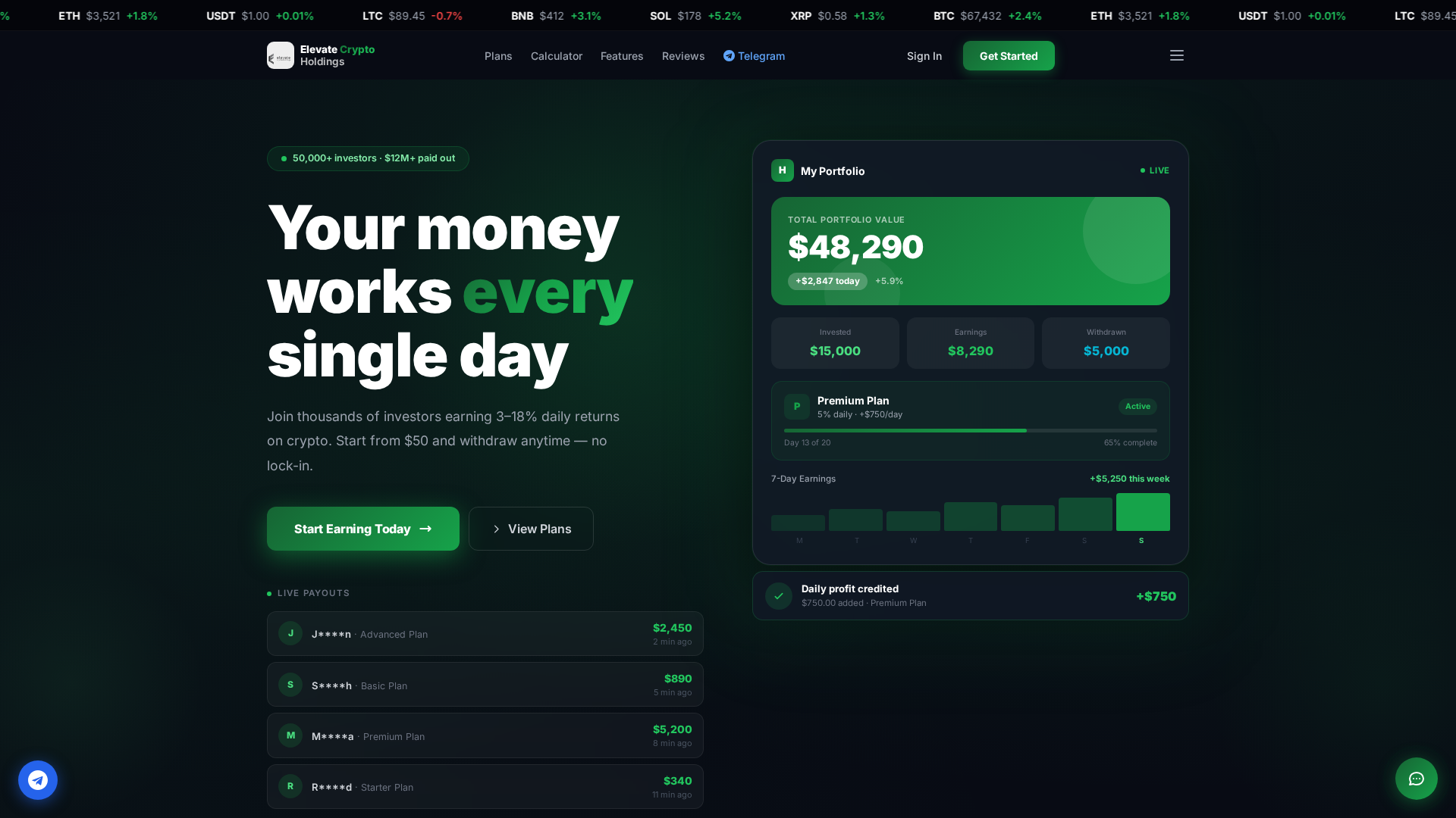 Screenshot of elevatecryptoholdings.com
