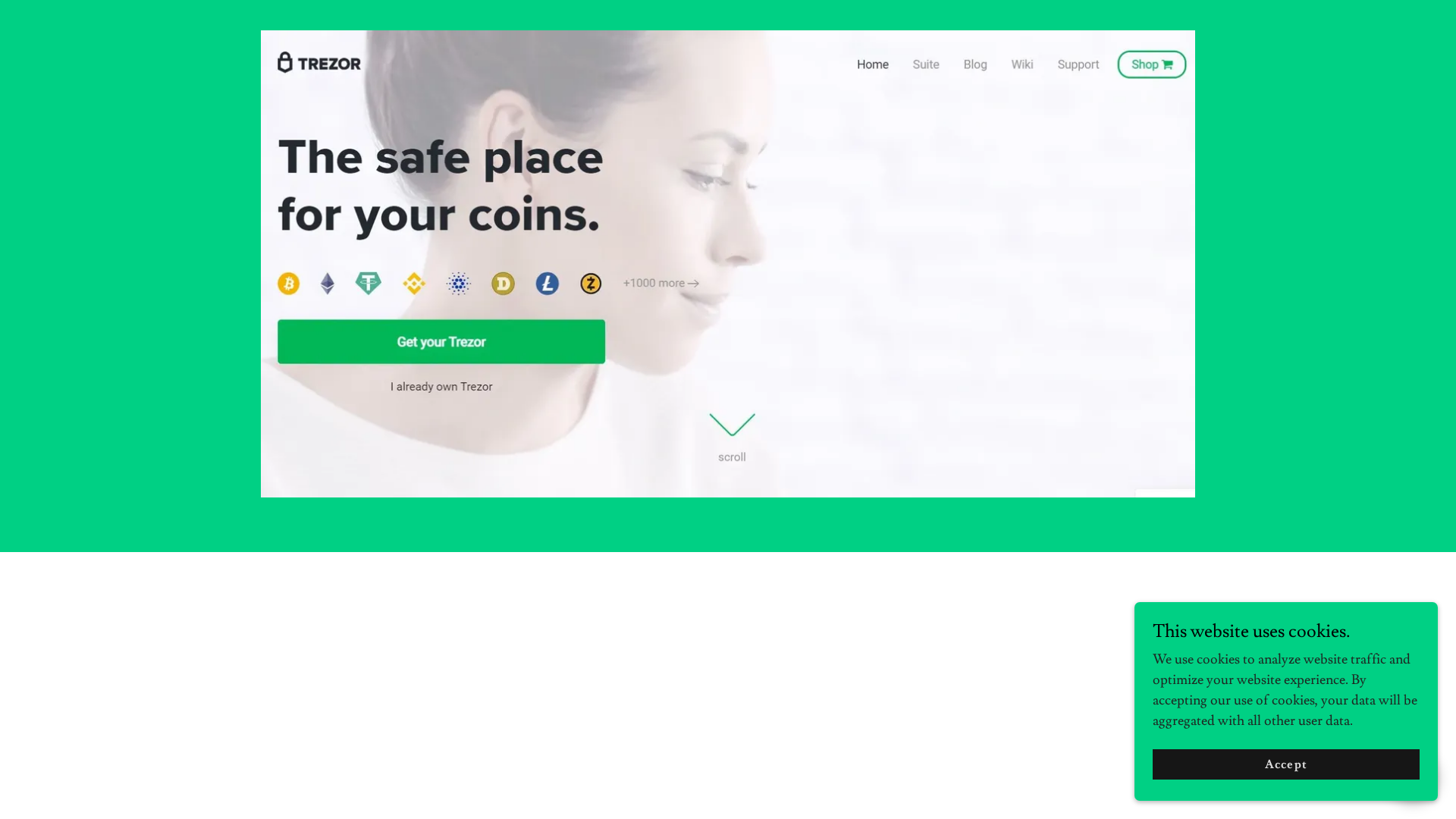 Screenshot of trezorwalle_.godaddysites.com