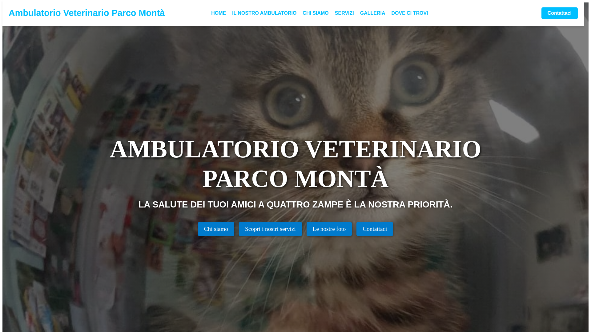 Screenshot of cdn.gosafemode.com