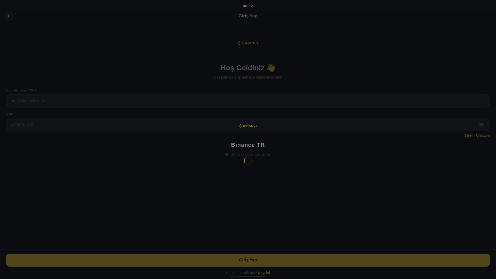 Screenshot of masakkaktivasyondogrula.duckdns.org