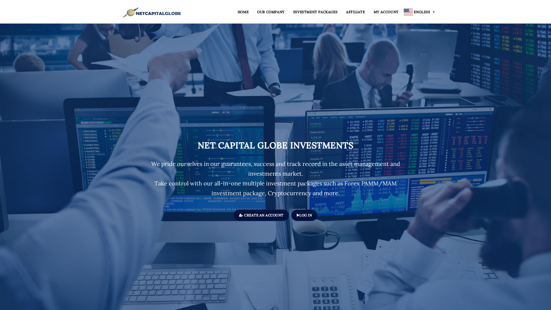 Screenshot of netcapitalglobe.net