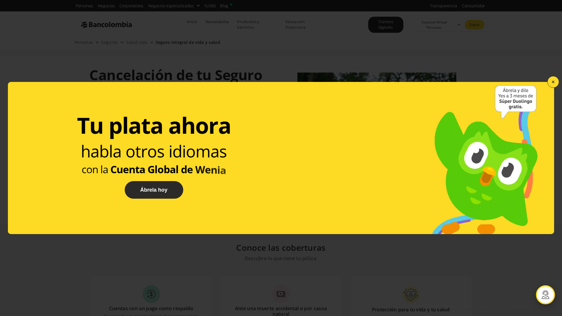 Screenshot of www.seguroalz.com