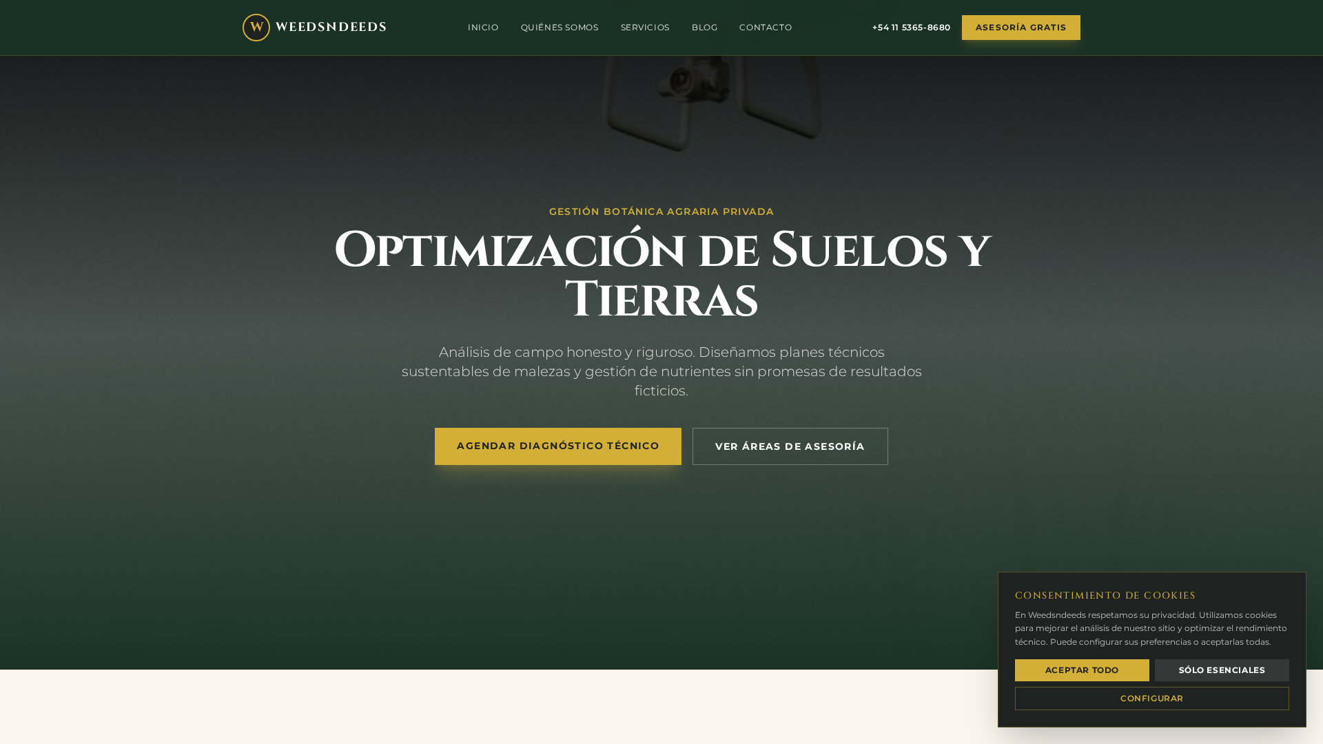 Screenshot of cdn.gosafemode.com