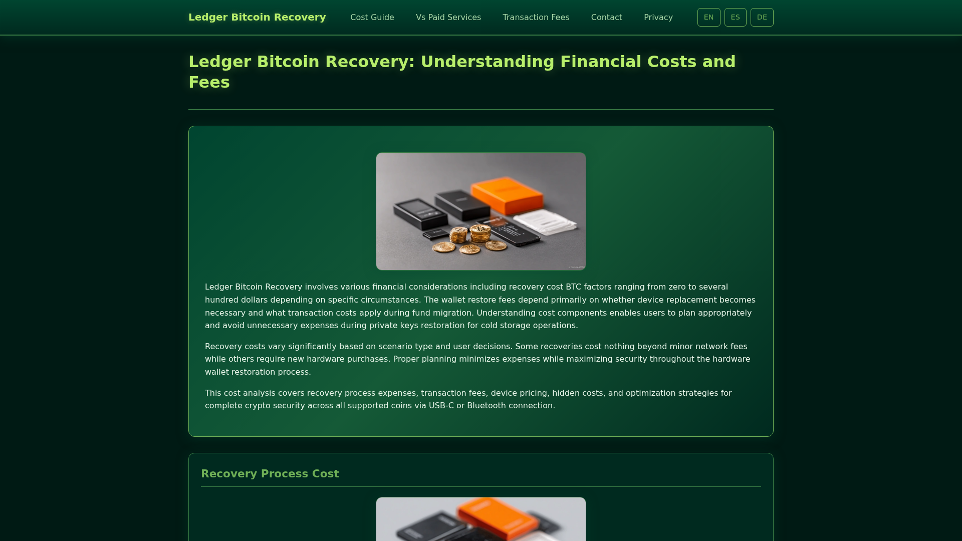 Screenshot of ledger-bitcoin-recovery-fees.com