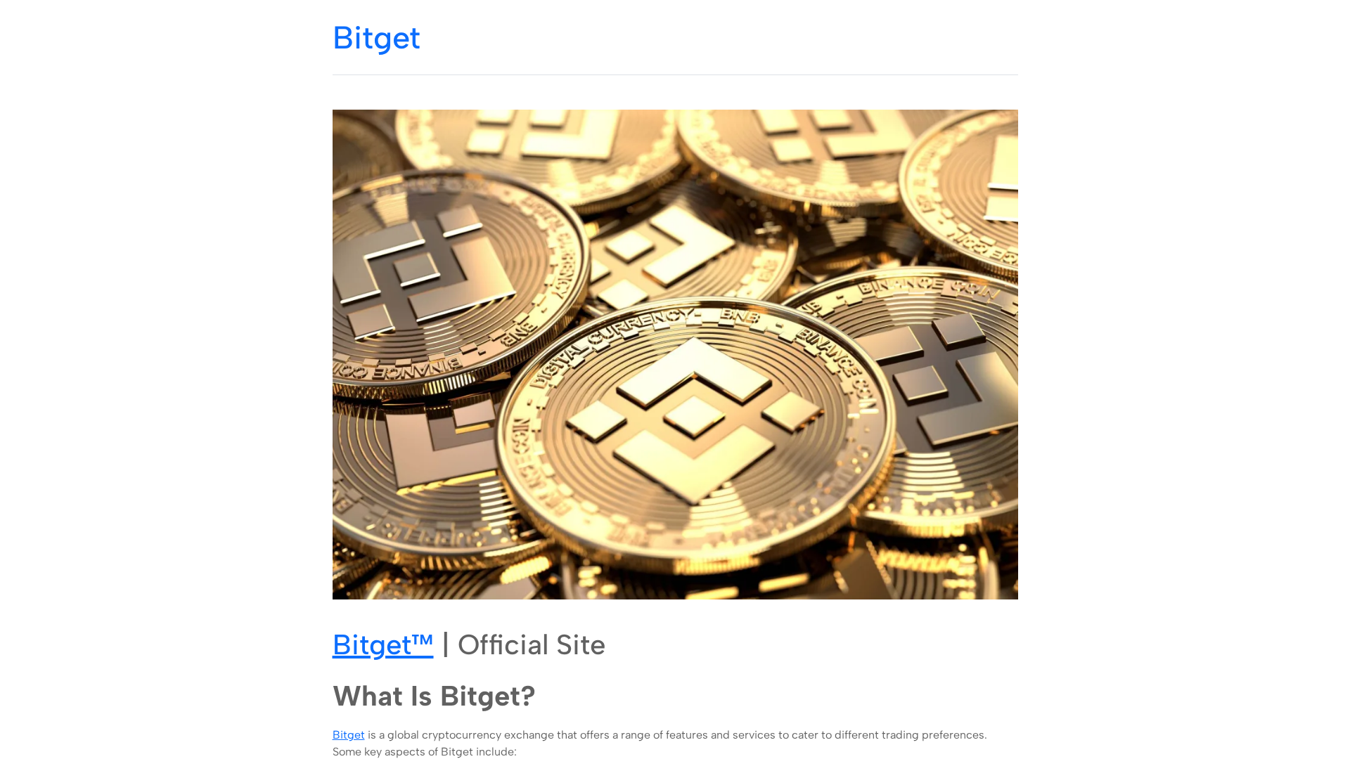 Screenshot of biitget.github.io