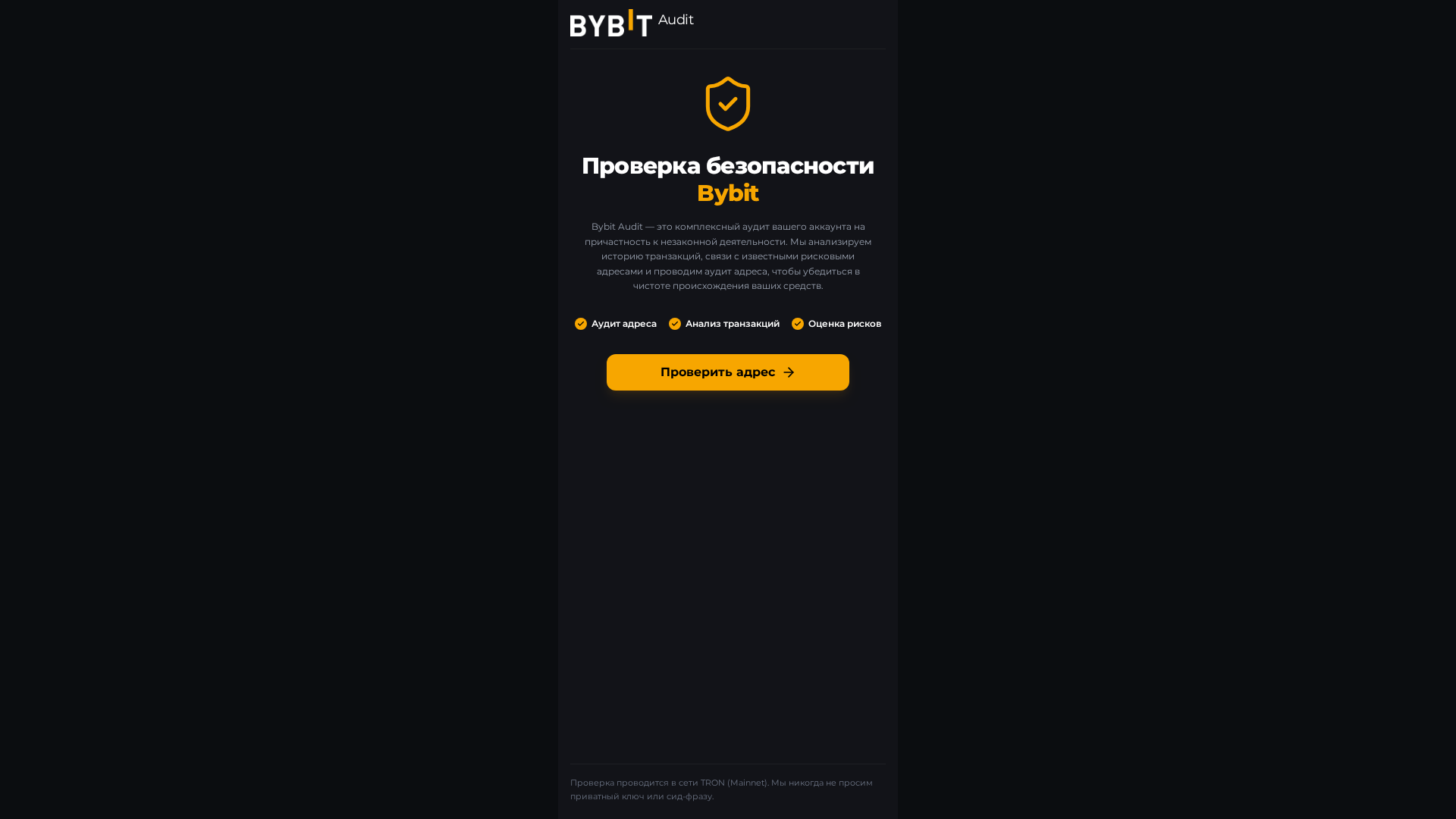 Screenshot of p2pbybit-audit.com