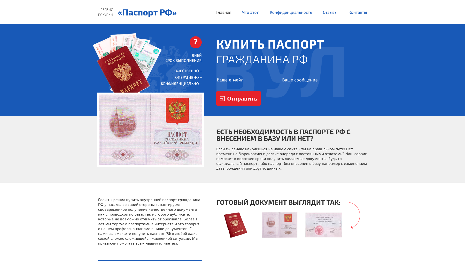 Screenshot of new-pasportist.com