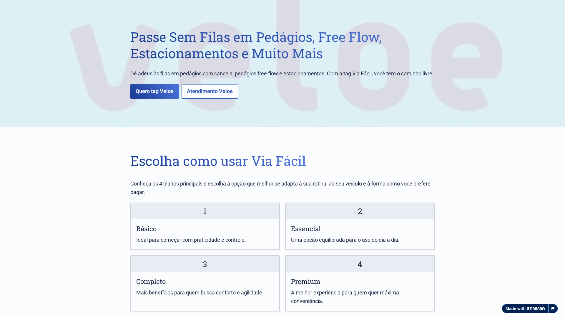 Screenshot of via-facil-tag-mf1netp.gamma.site