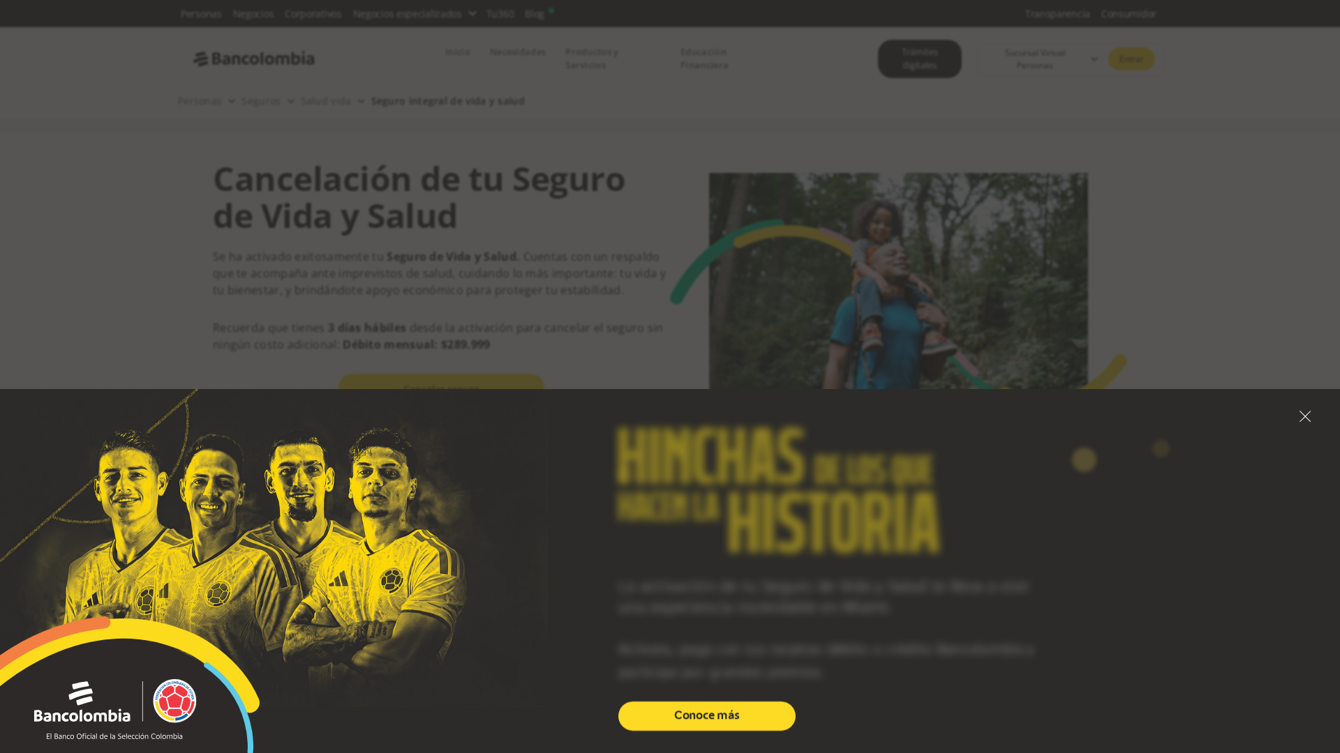 Screenshot of www.surainforseg.com