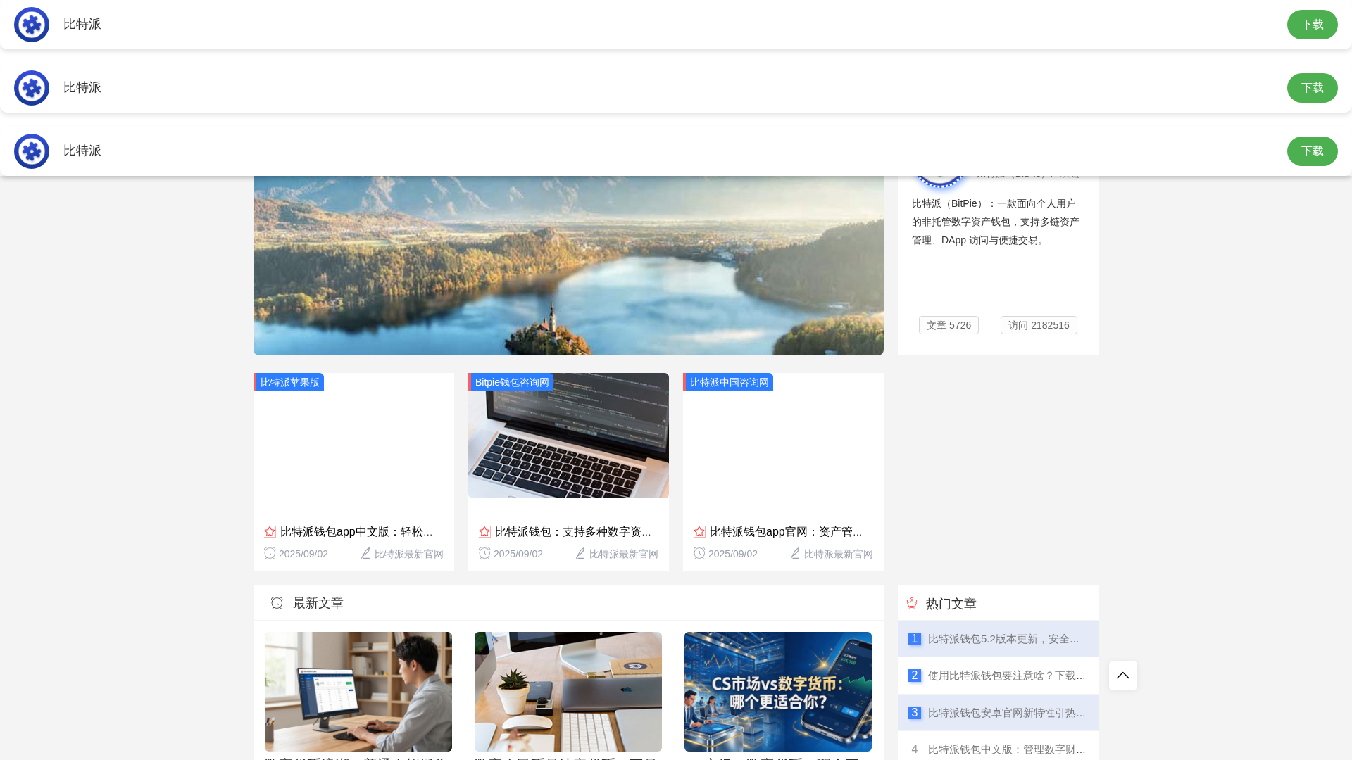 Screenshot of sczyszxxz.com