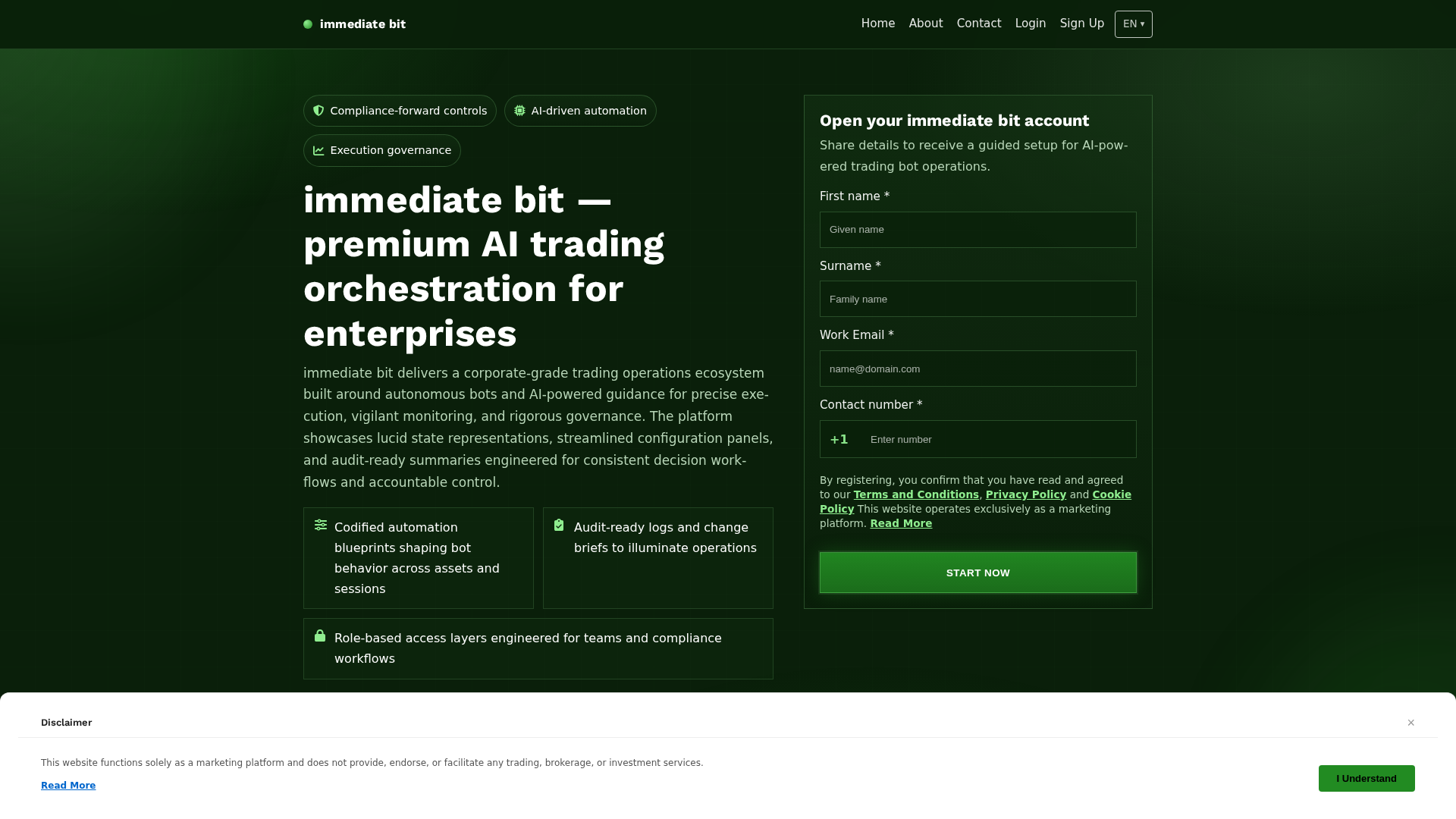 Screenshot of immediatebitsoft.com