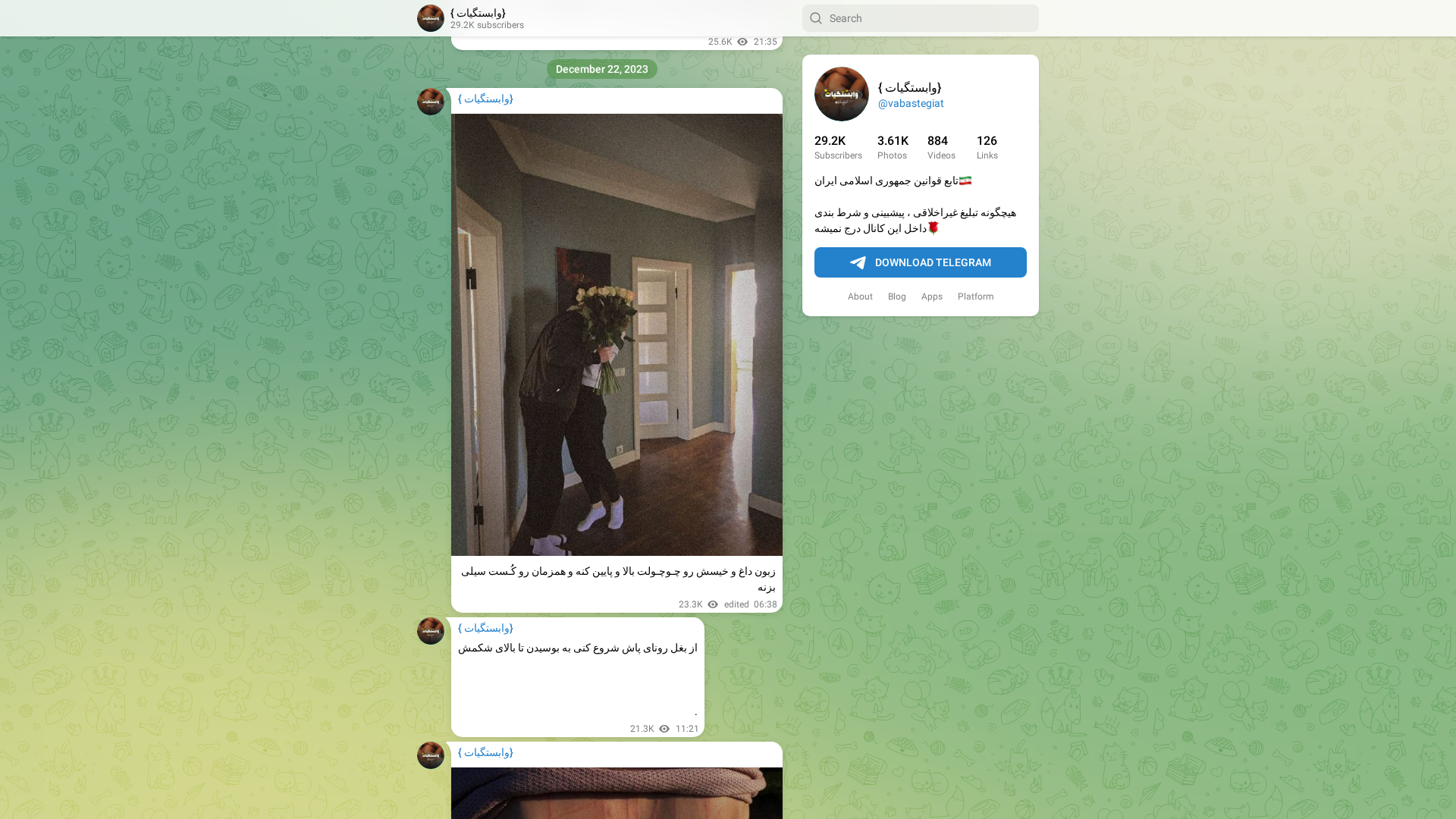Screenshot of telegram.dog