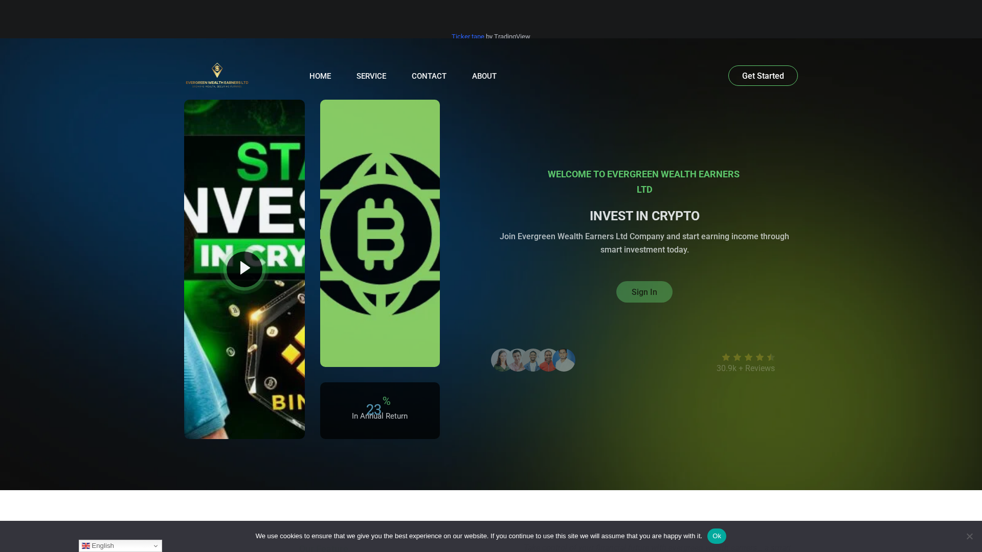 Screenshot of evergreenwealthearnersltd.com