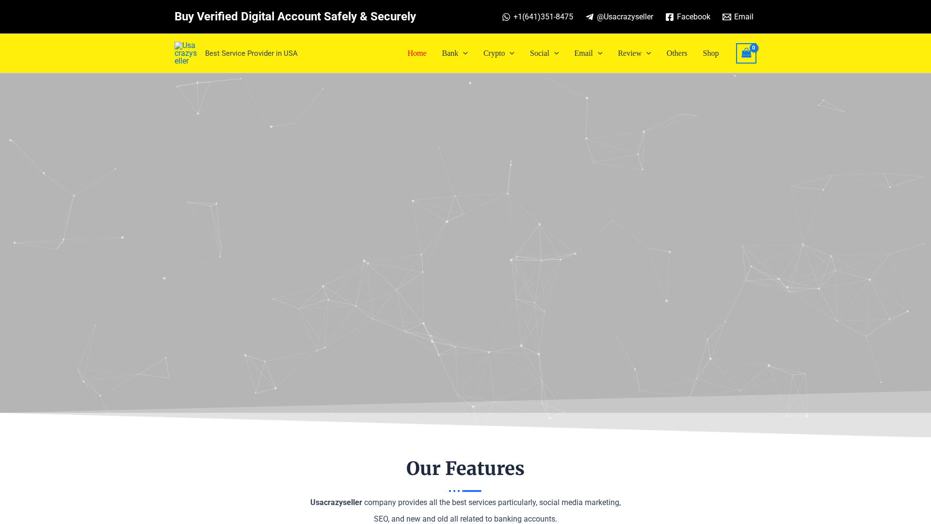 Screenshot of usacrazyseller.com