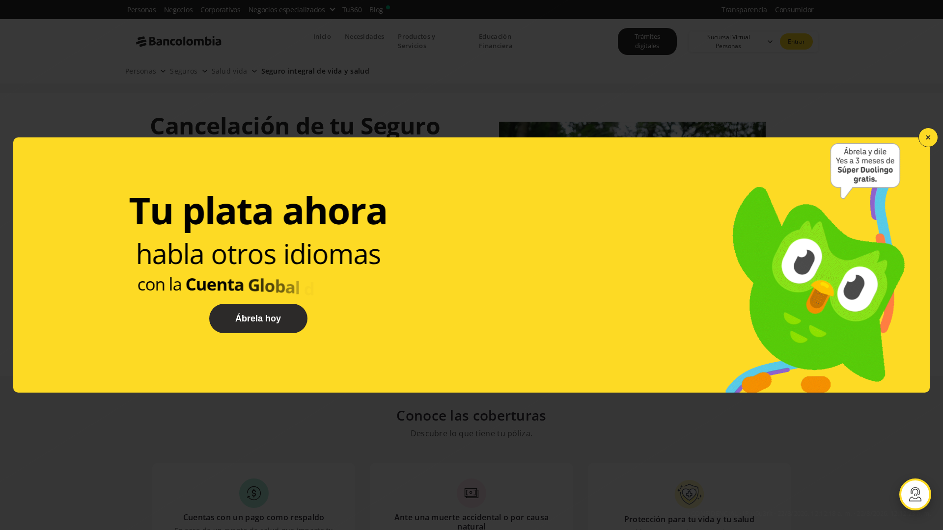 Screenshot of www.seguroalz.com