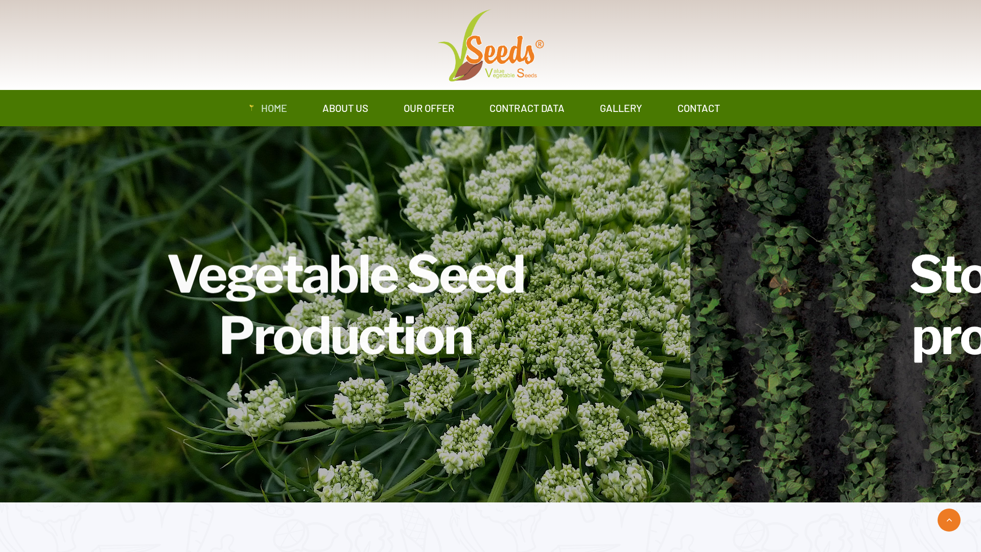 Screenshot of cdn.gosafemode.com