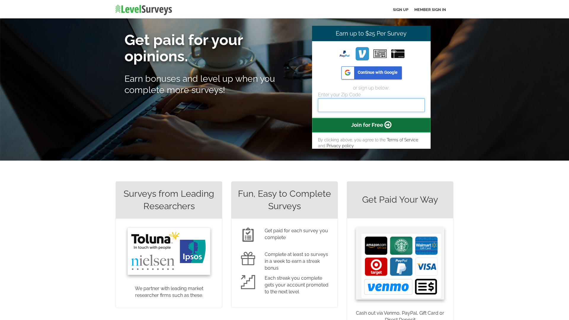 Screenshot of www.levelsurveys.com