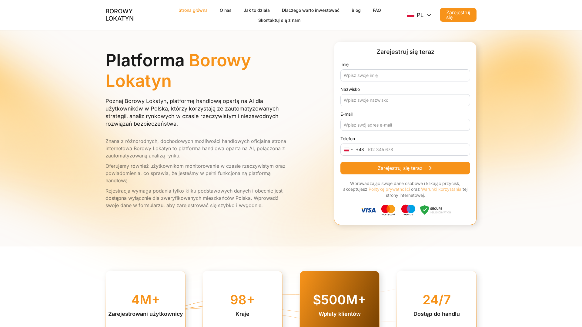 Screenshot of borowylokatyn.com