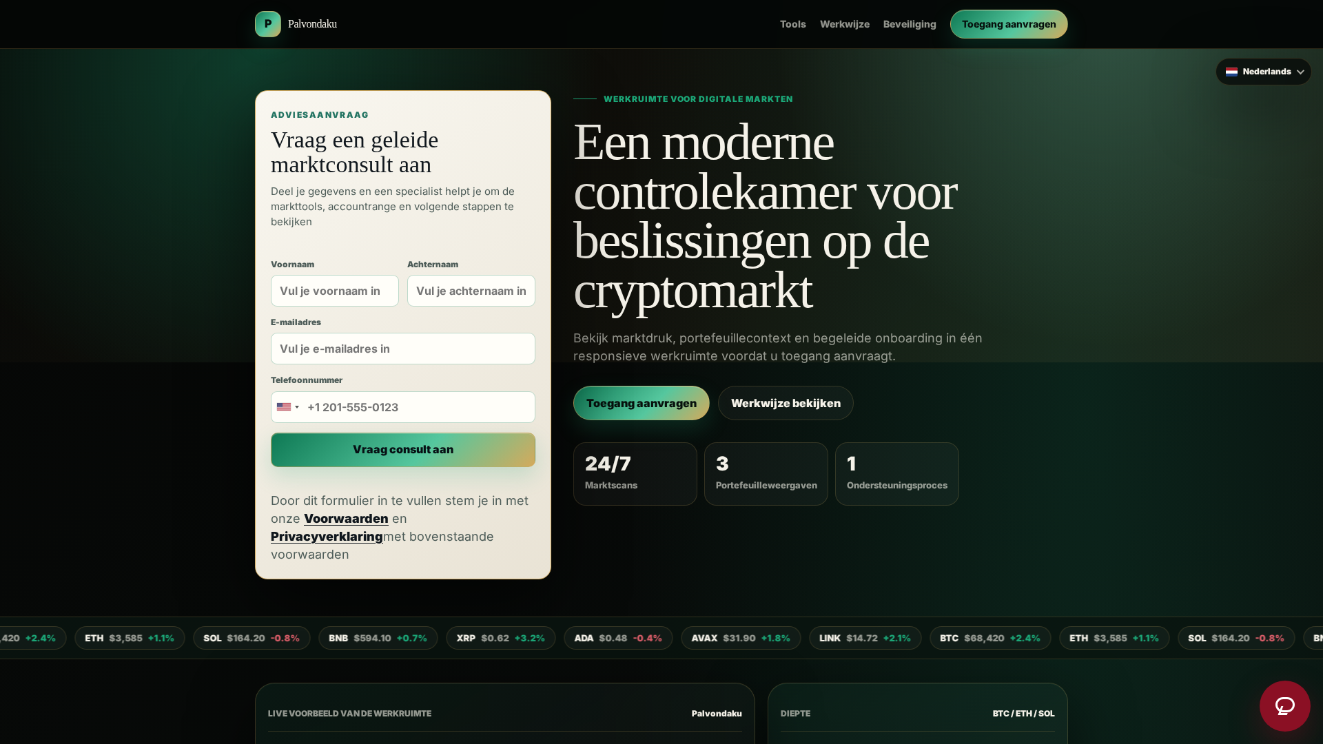 Screenshot of palvondaku-netherlands.com