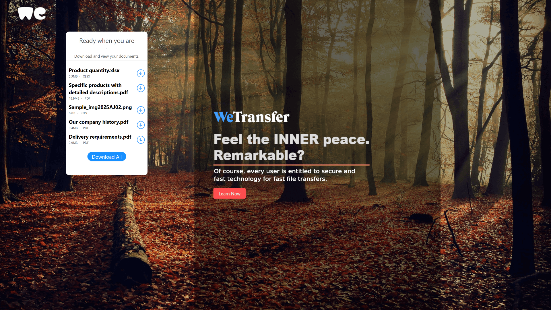 Screenshot of wetransfer-sampleproduct-transfer.netlify.app