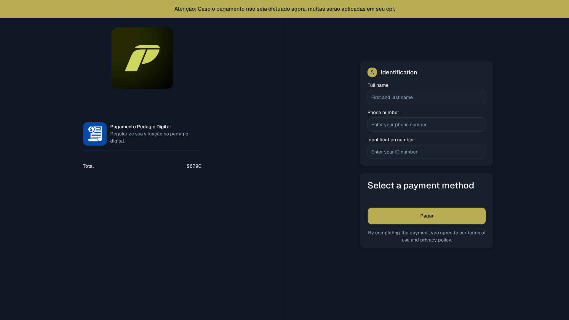 Screenshot of pay.transacaopagamento.online