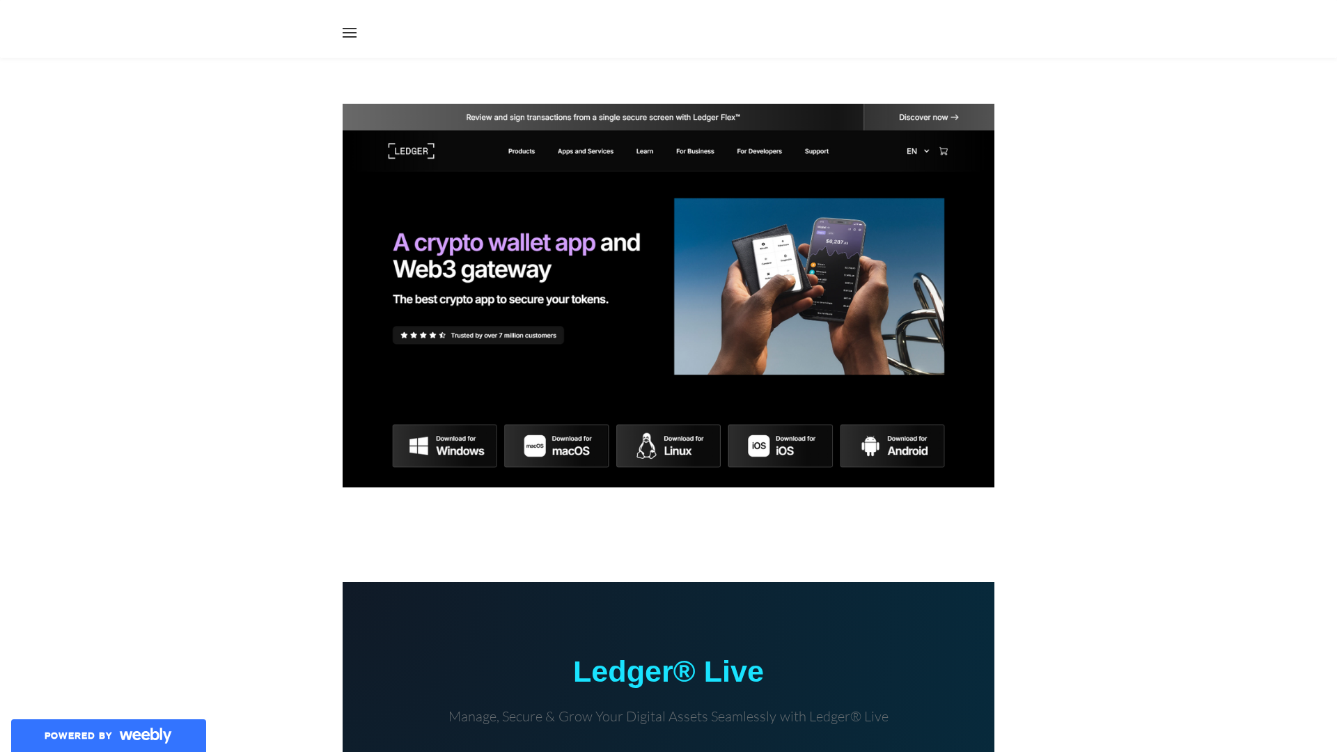 Screenshot of ledgior-live.weebly.com
