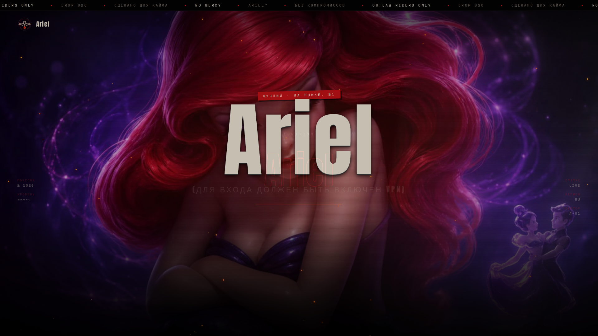 Screenshot of ariel24.vip