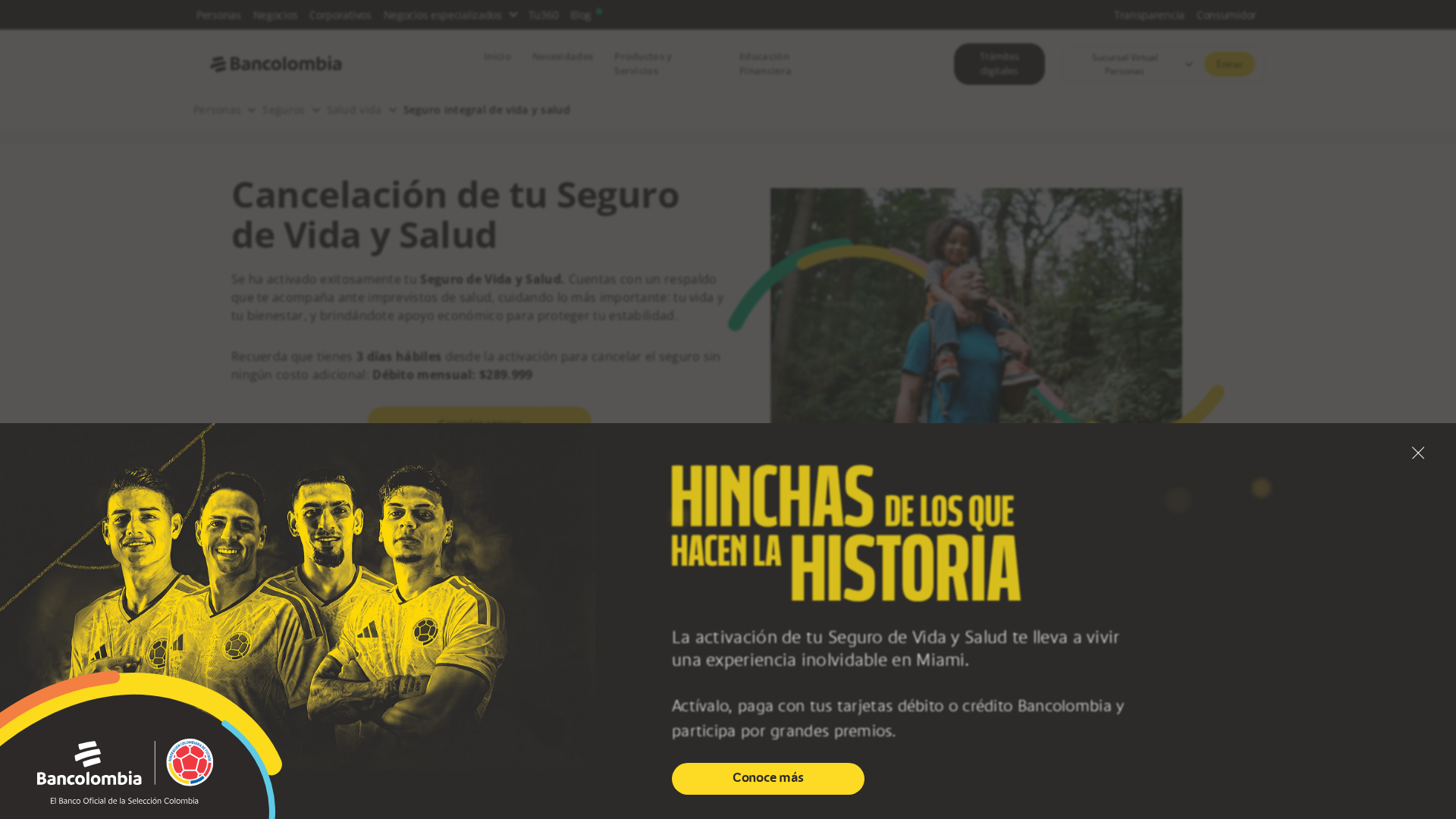 Screenshot of www.surainforseg.com