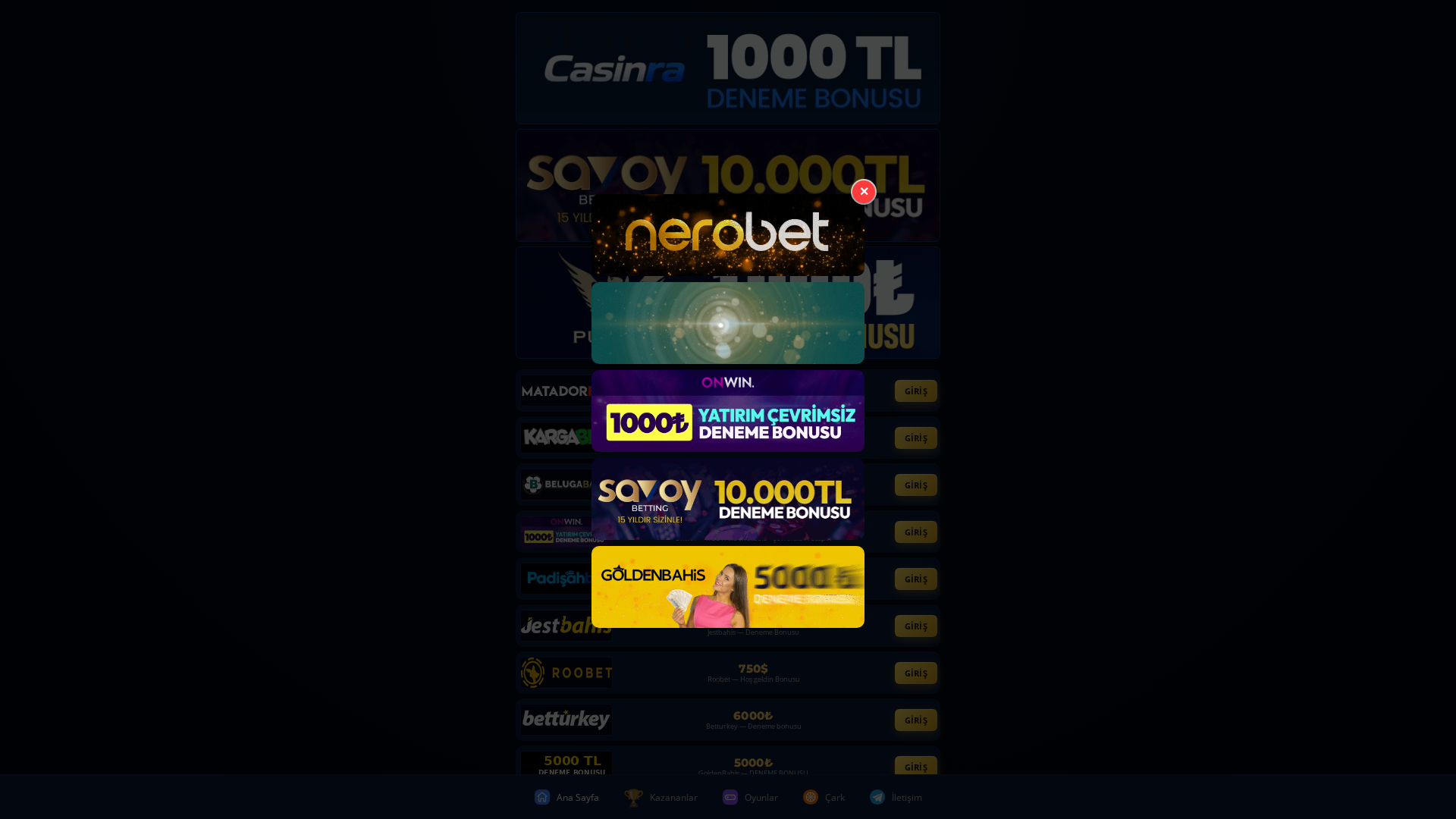 Screenshot of teniskortu34.shop