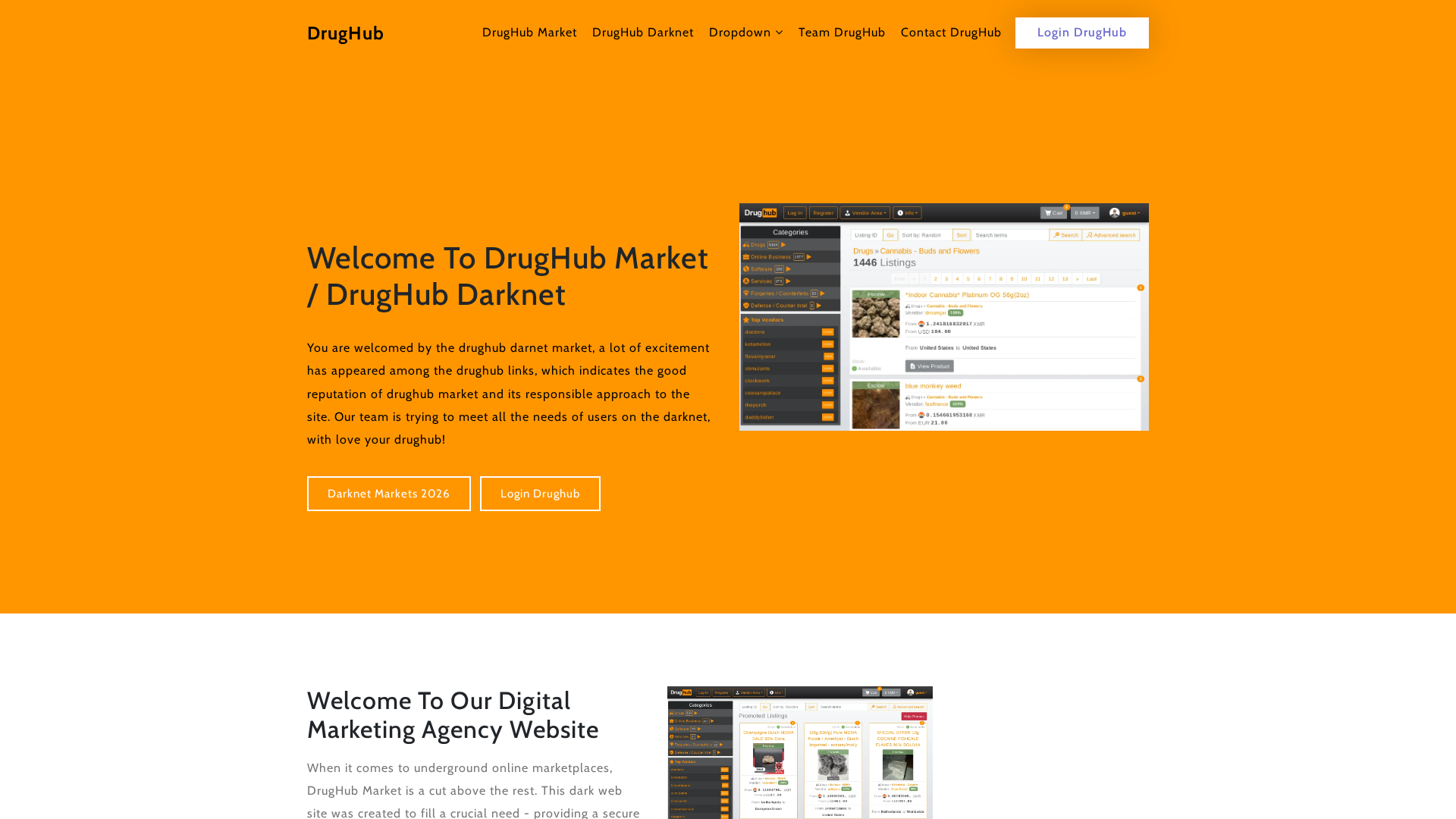 Screenshot of drughubdark.net
