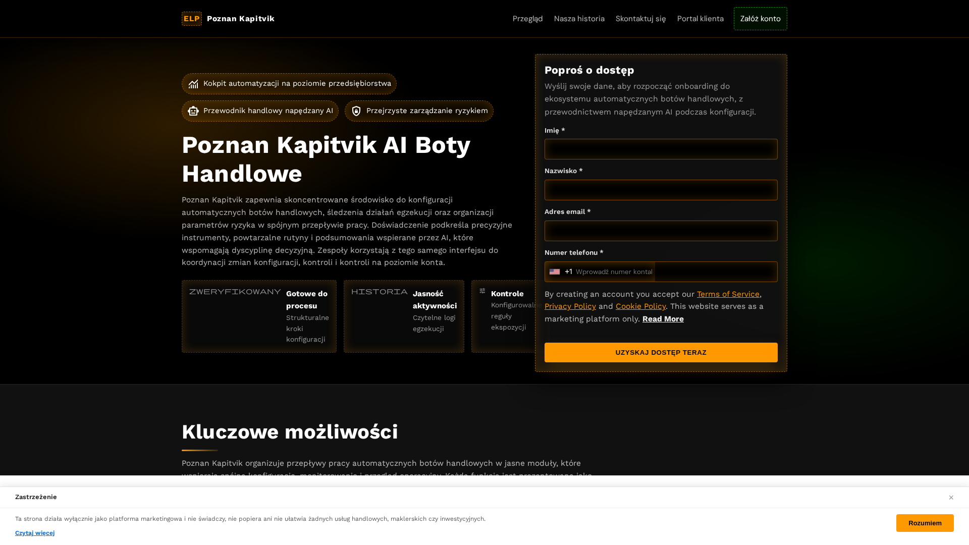 Screenshot of poznankapitvik.click