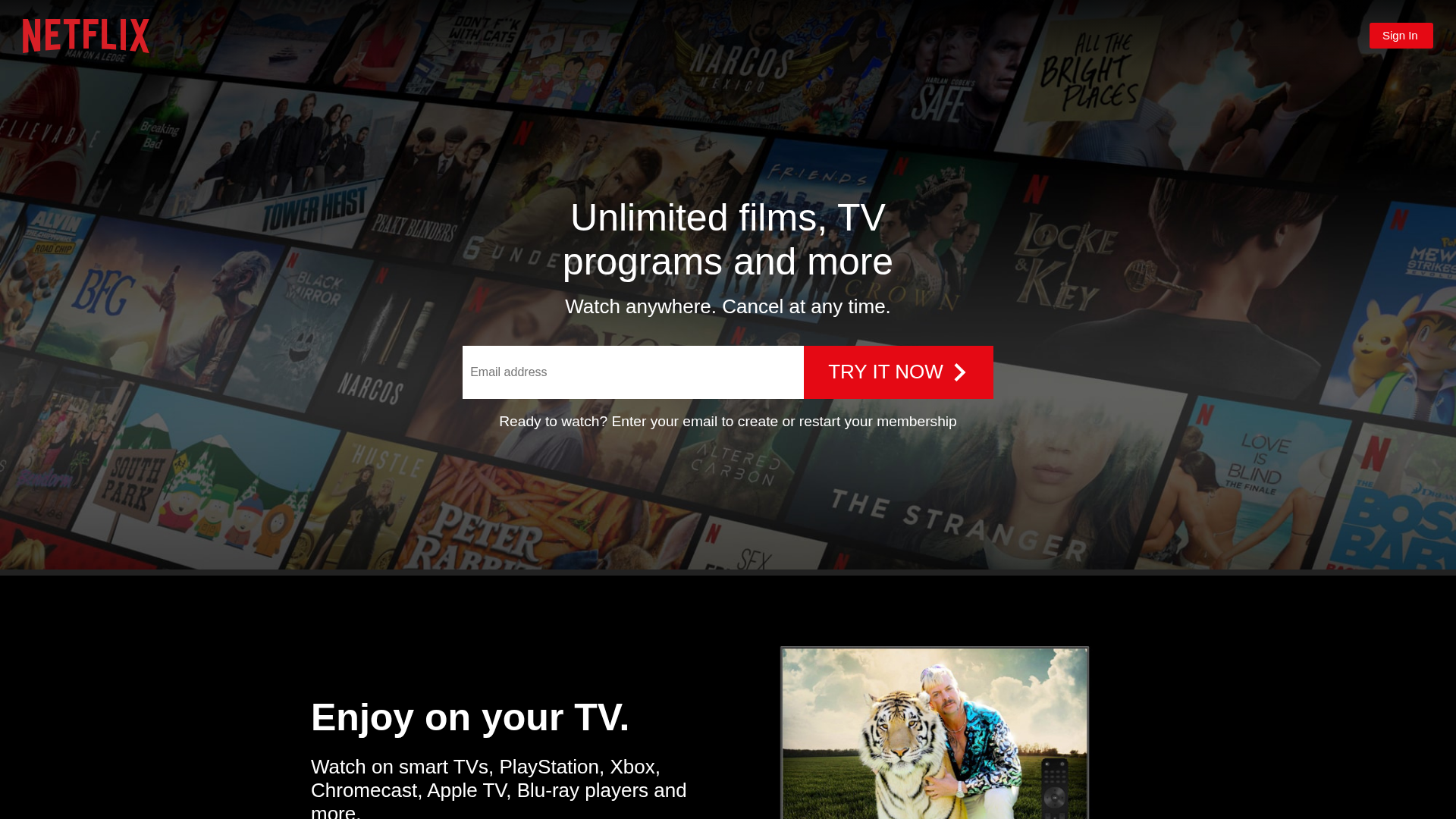 Screenshot of www.netflix-two-mu.vercel.app