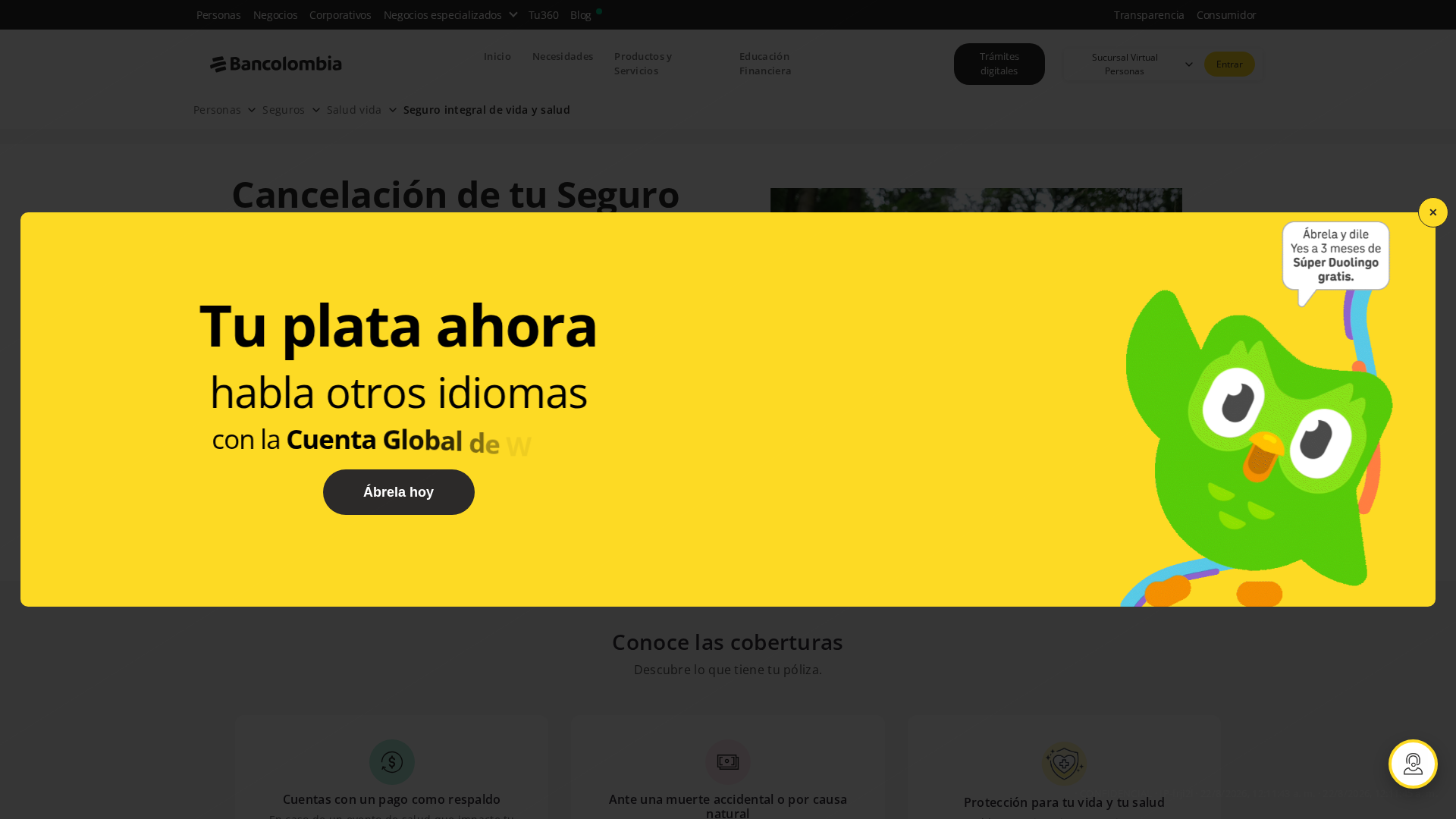 Screenshot of www.seguroalz.com