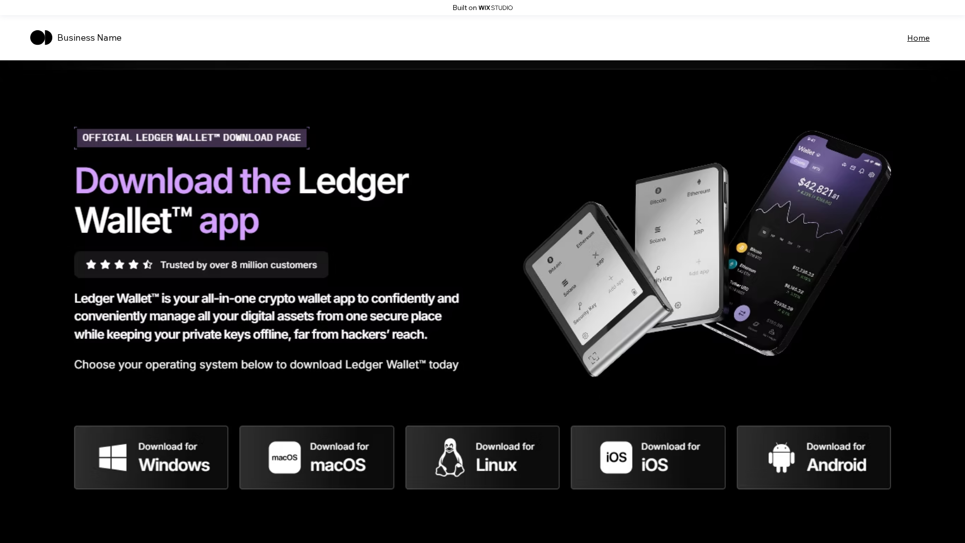 Ledger
