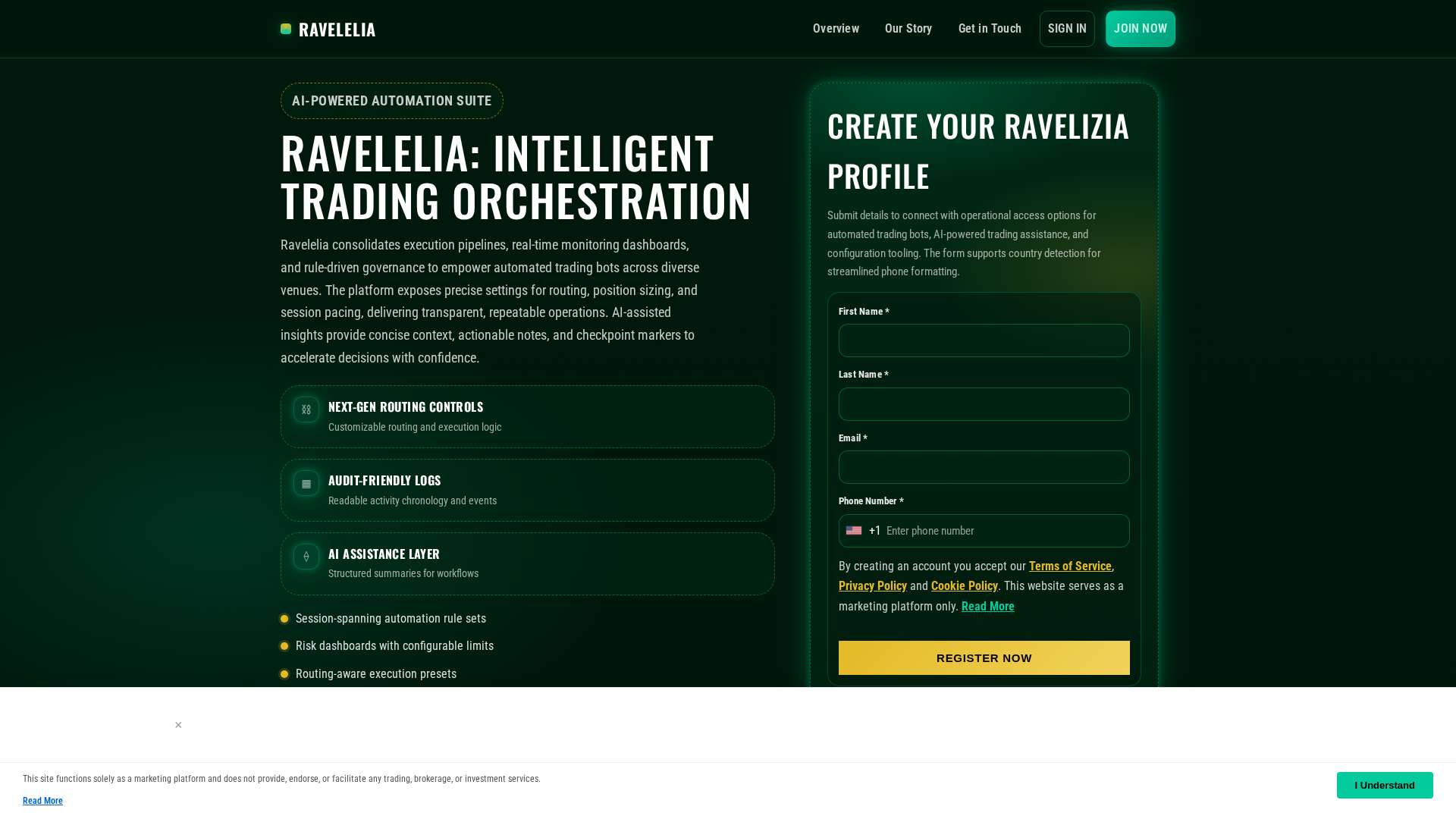 Screenshot of ravelizia.click