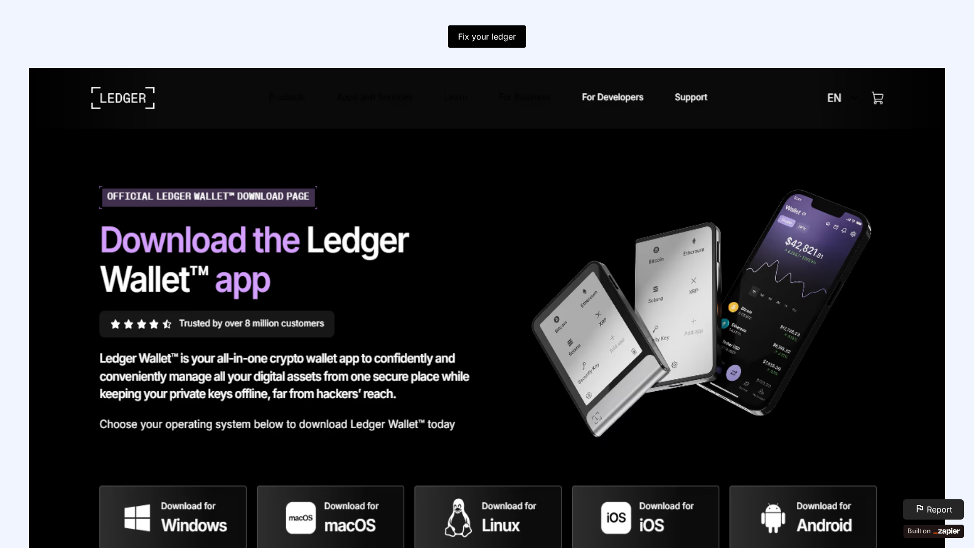 Screenshot of hoomepage-ledger.zapier.app