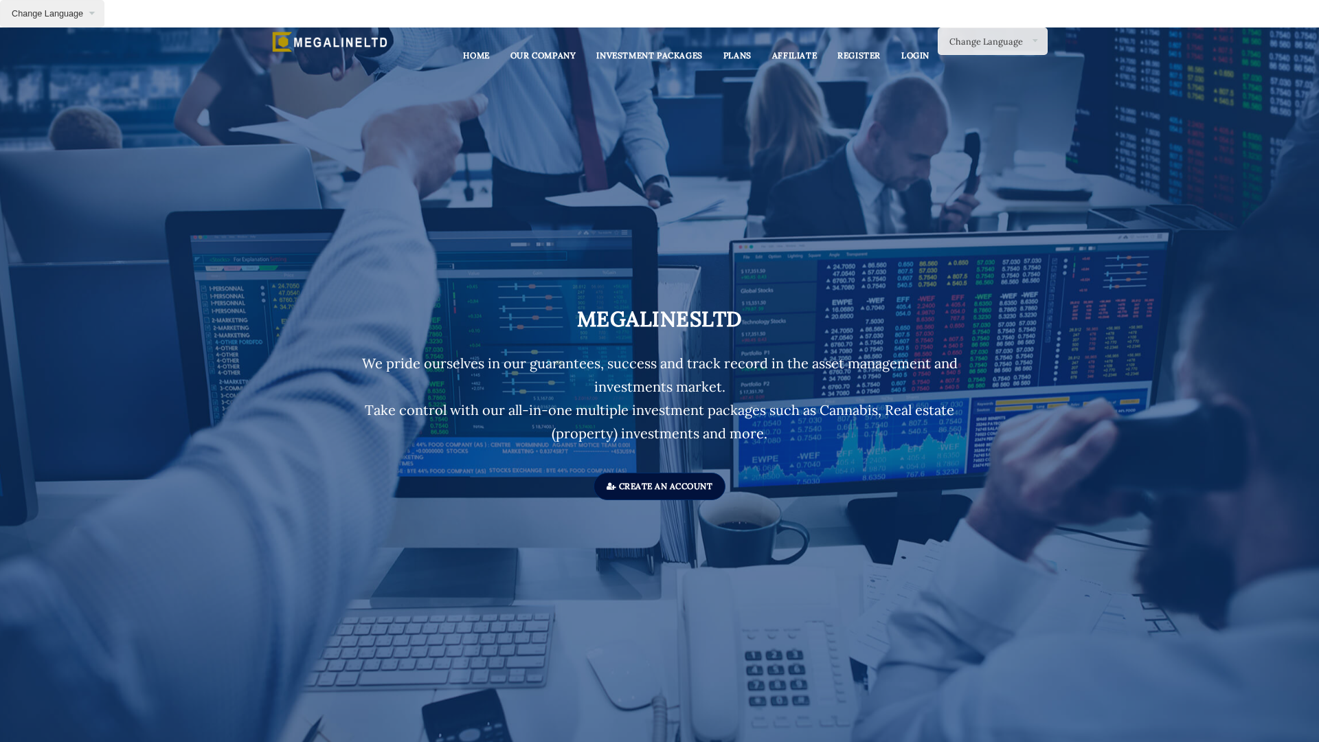 Screenshot of megalinesltd.com