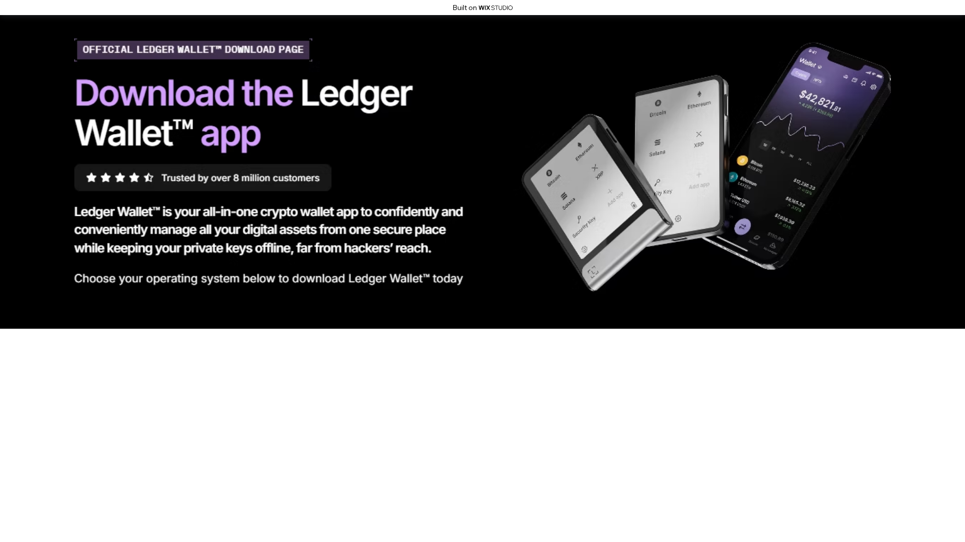 Screenshot of strt-ledgr-com.wixstudio.com