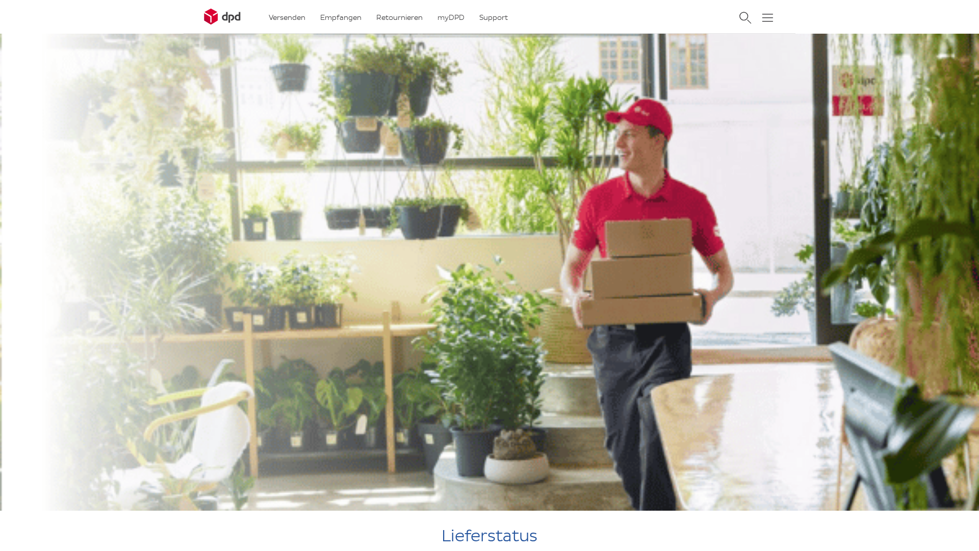 Screenshot of dpd-atchecke.eu.cc