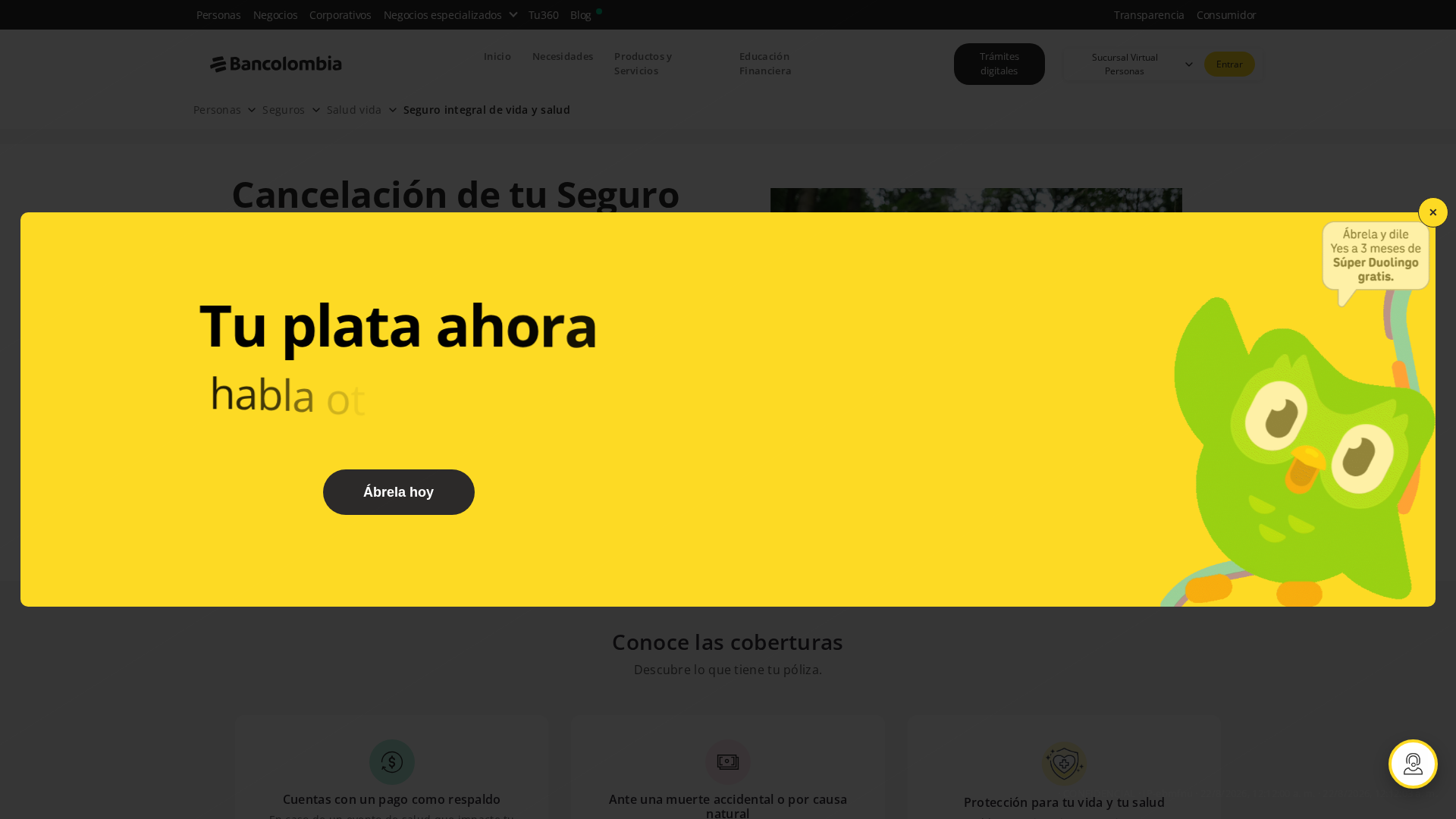 Screenshot of cdn.gosafemode.com