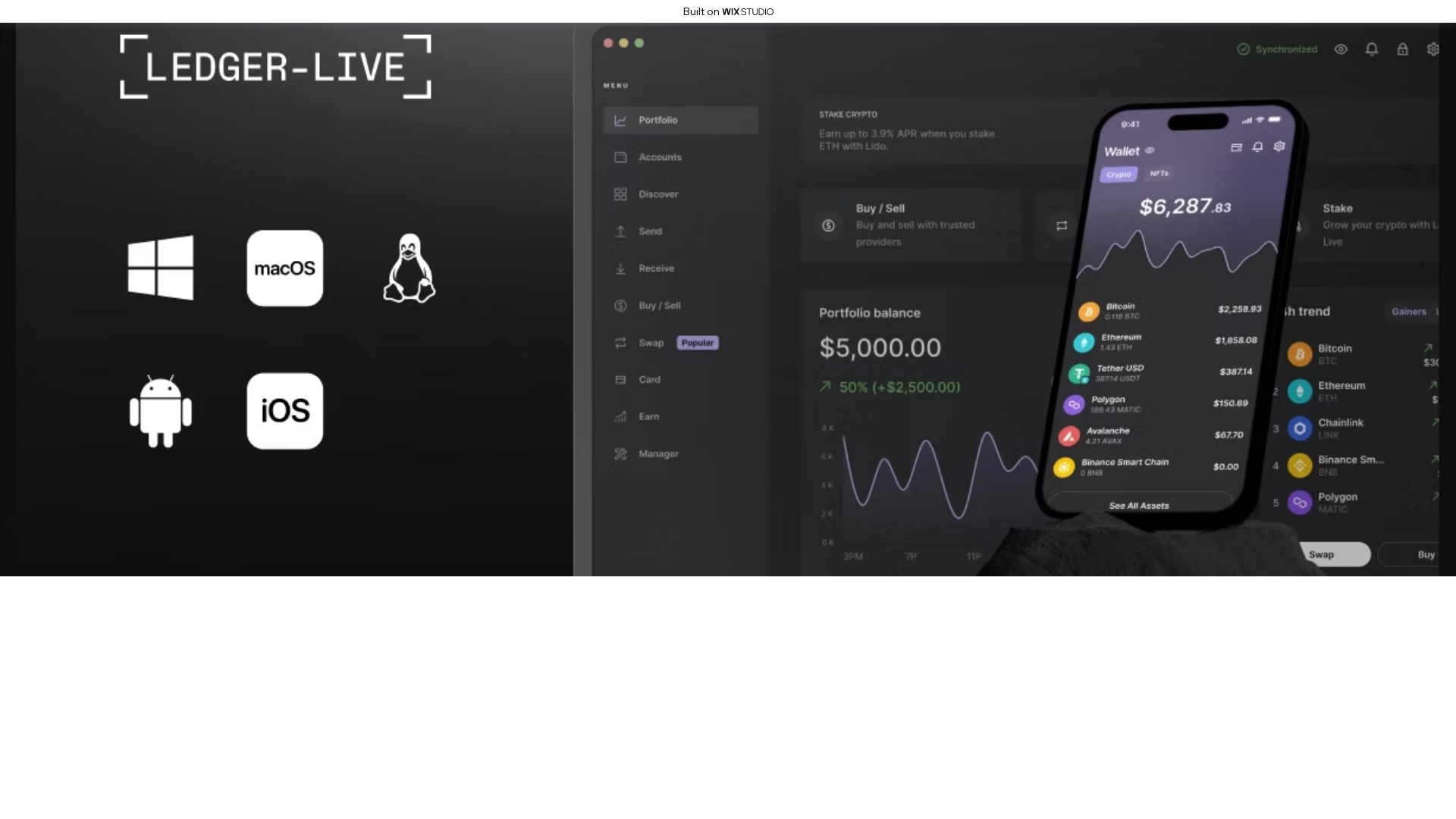 Screenshot of learnldgerrlogo.wixstudio.com